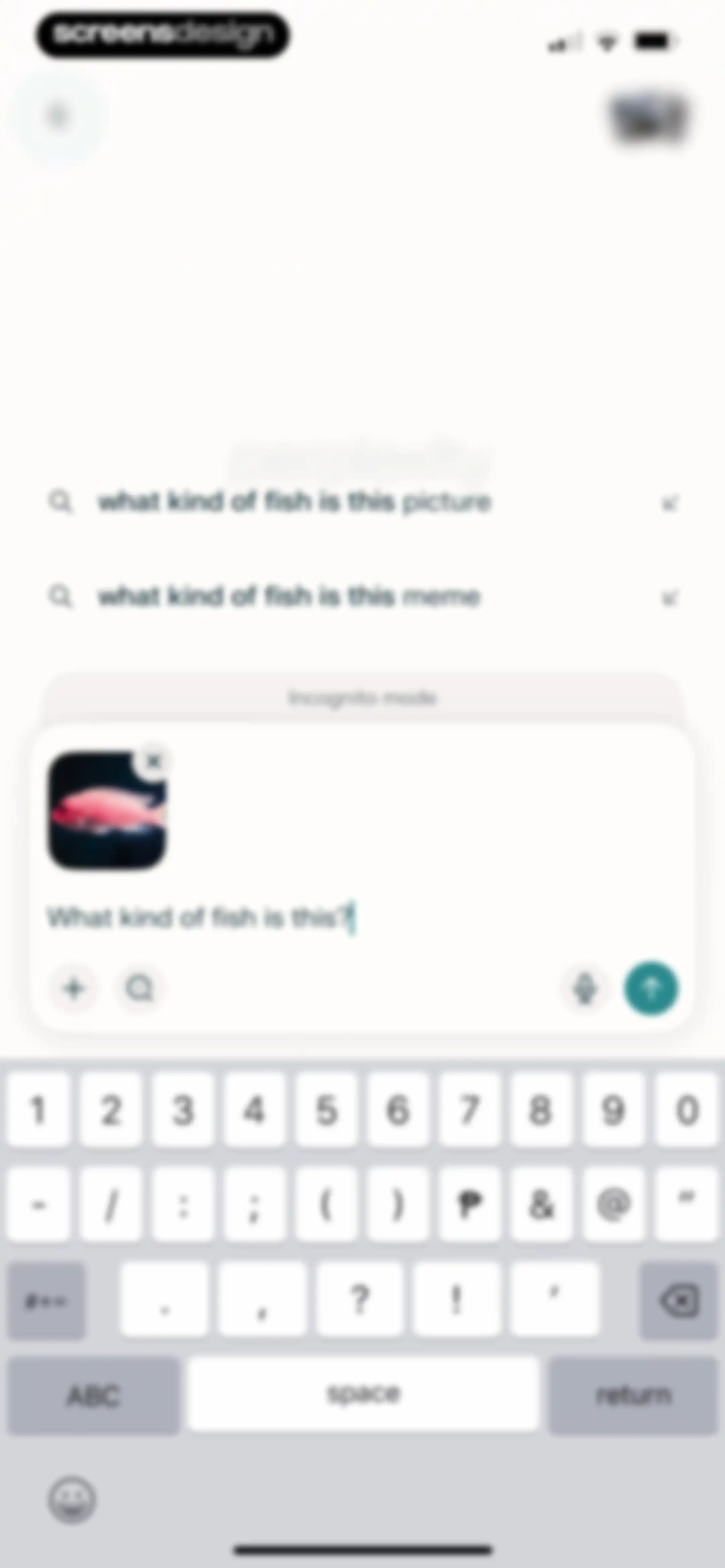 Perplexity - AI Search & Chat screen 53