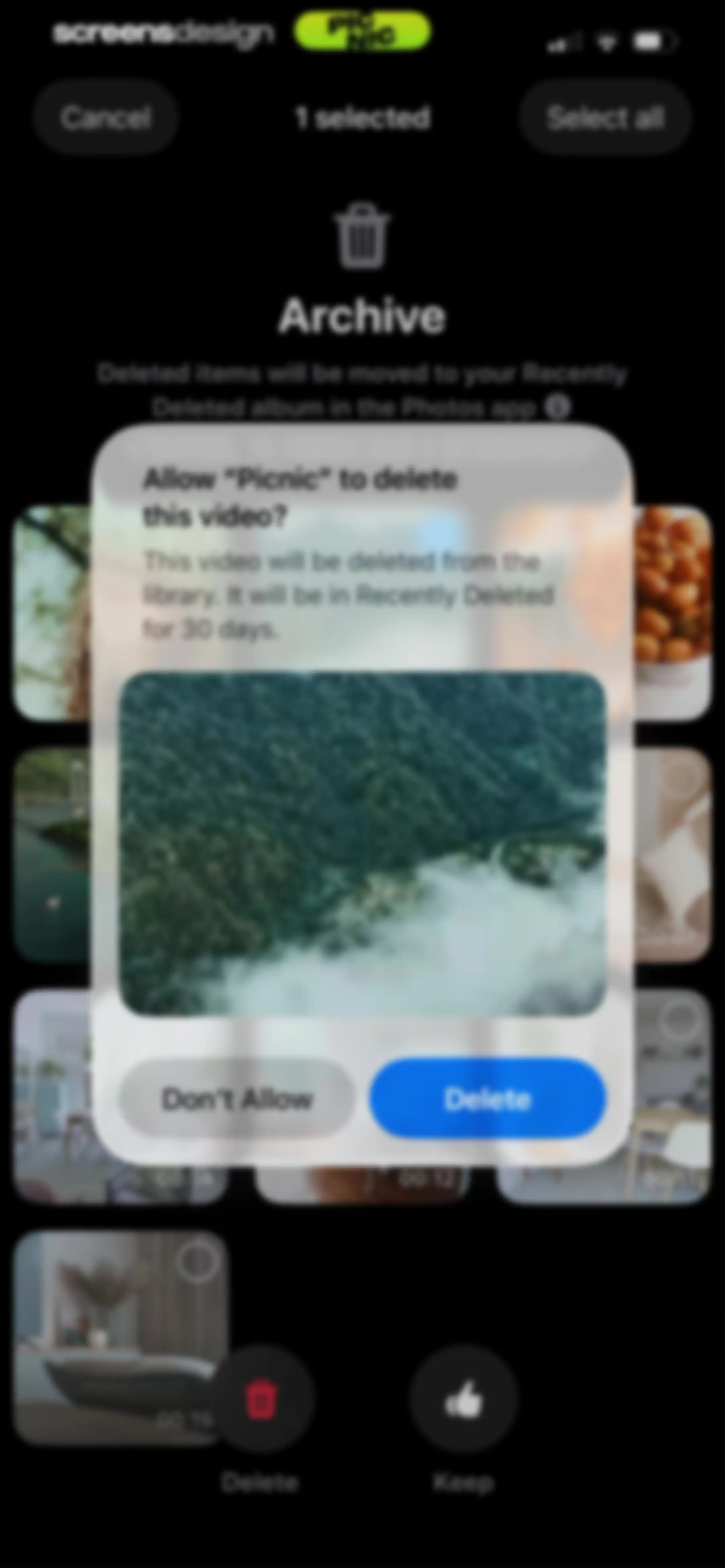 Photo Organizer: Picnic screen 59