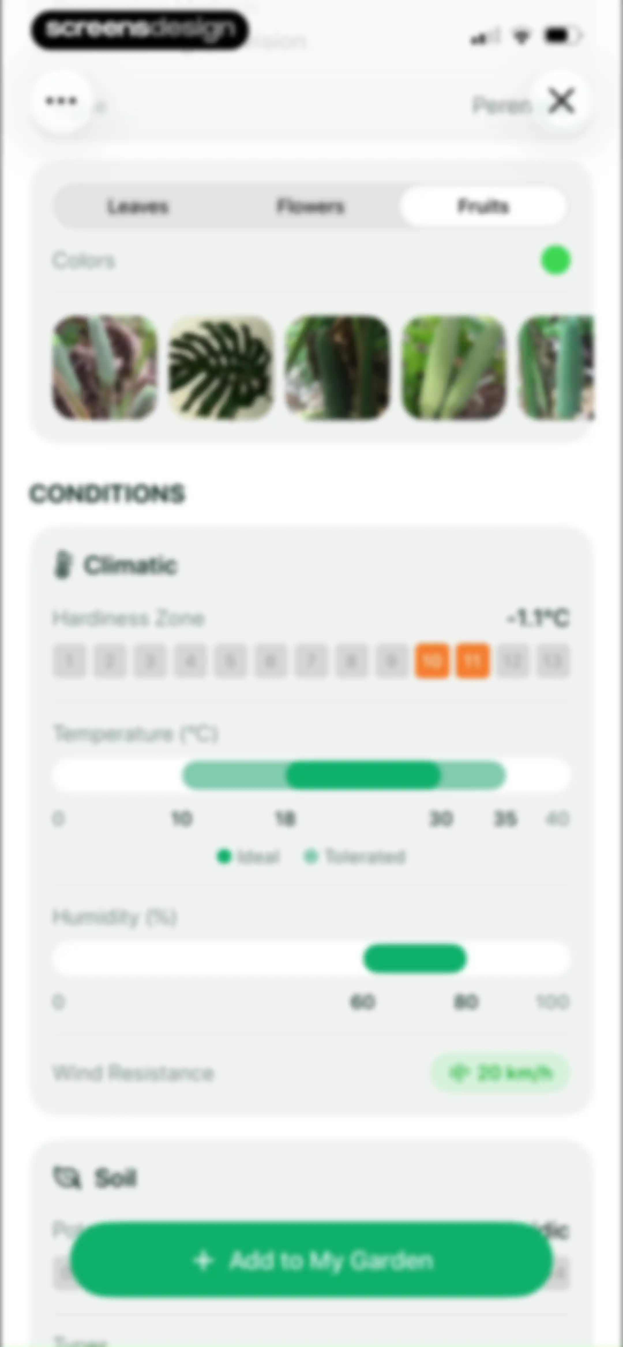 Planto: Plant Identifier screen 17