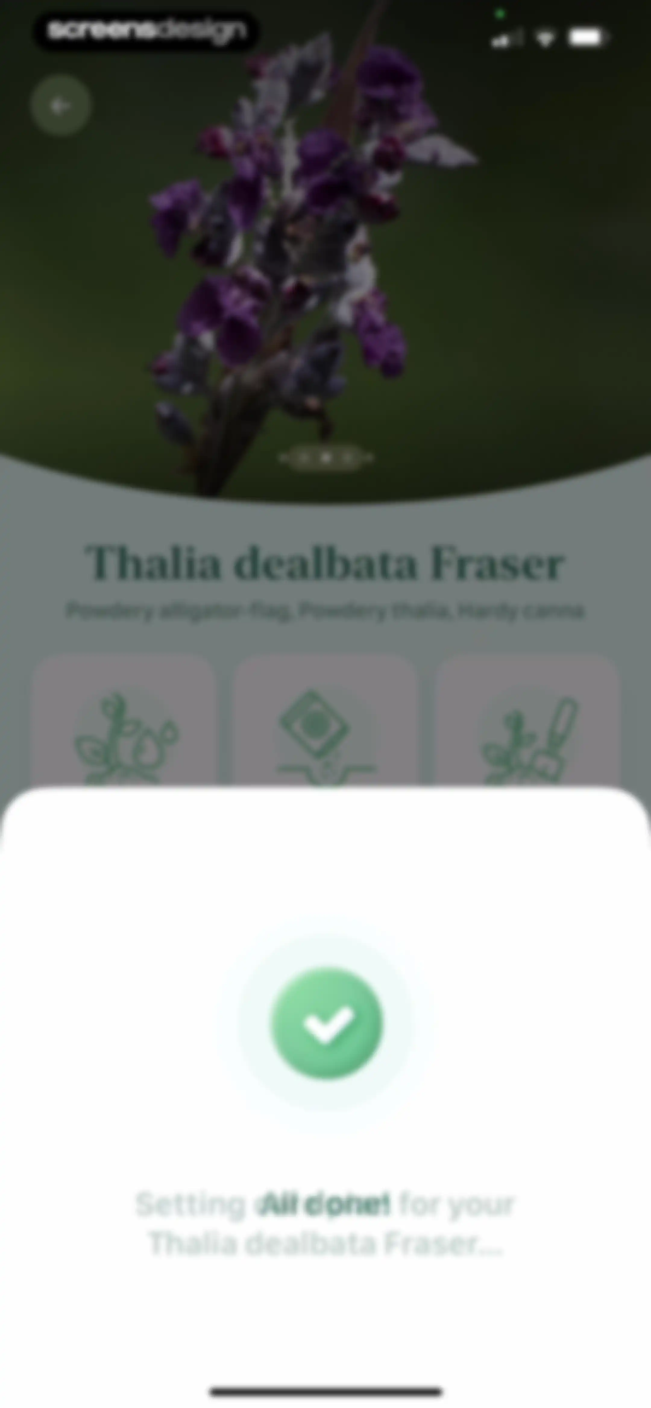 Blossom - Plant Care Guide screen 109