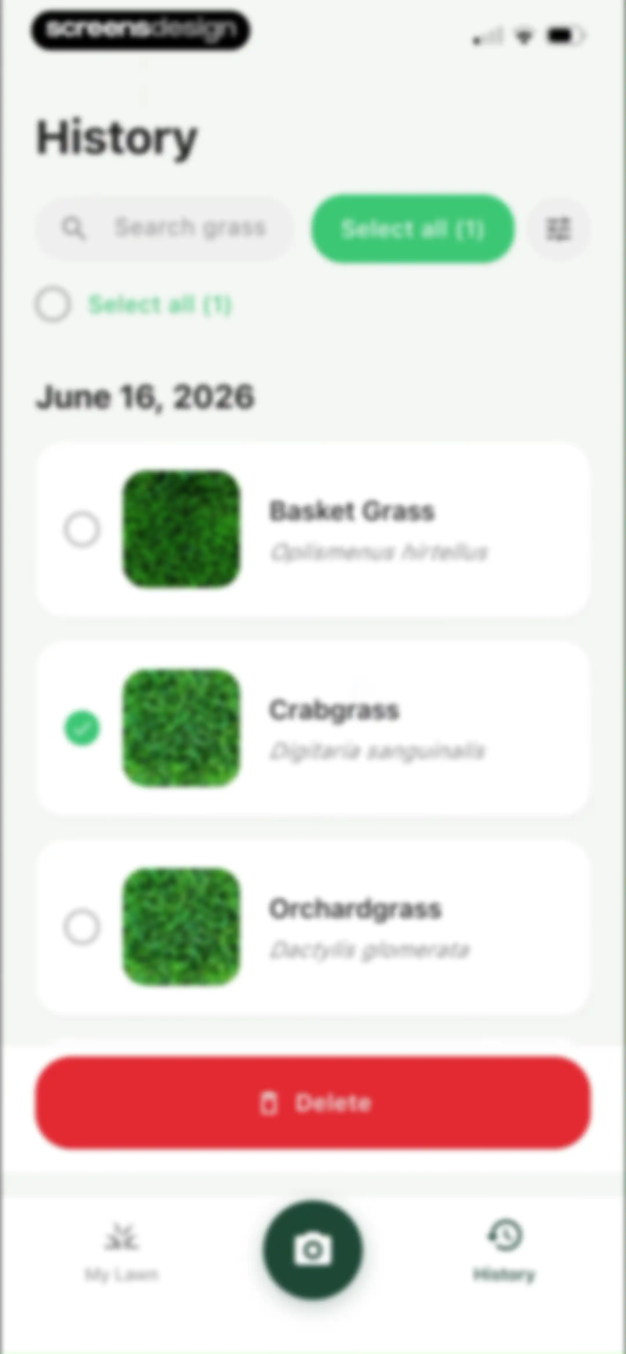Grass Identifier: AI Scan screen 54