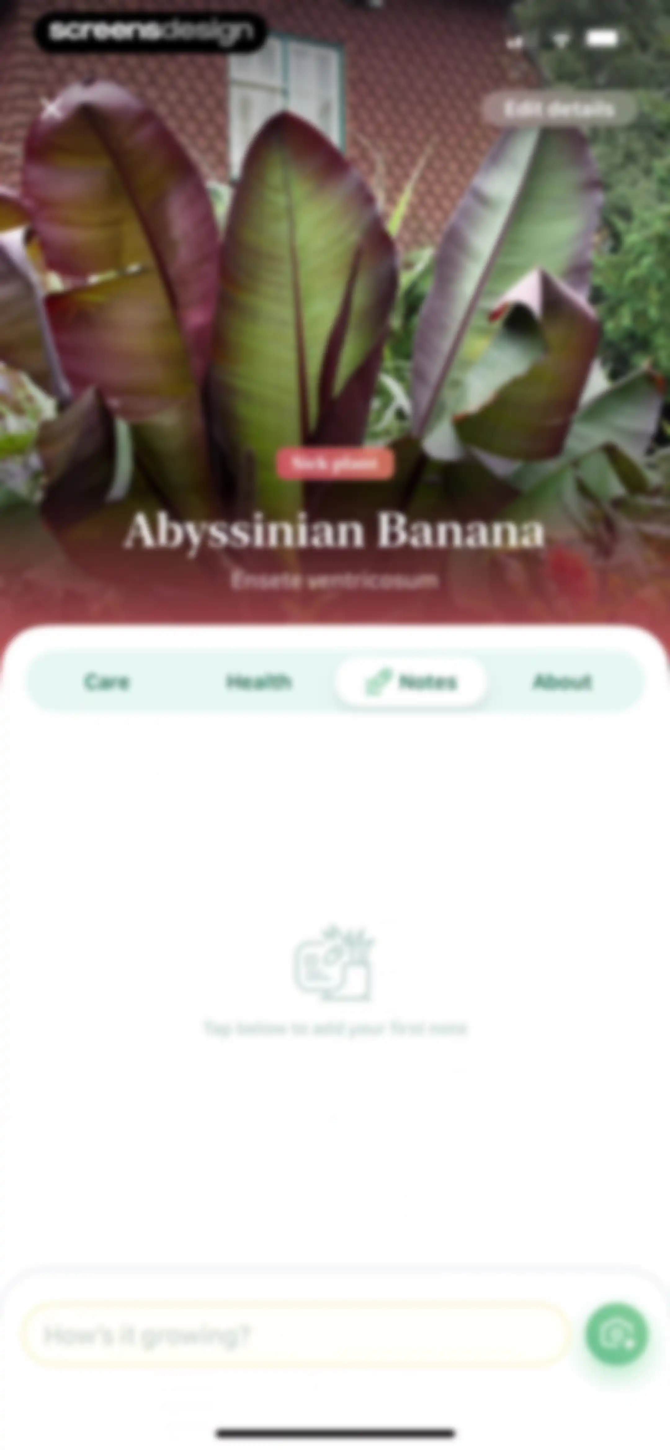 Blossom - Plant Care Guide screen 83