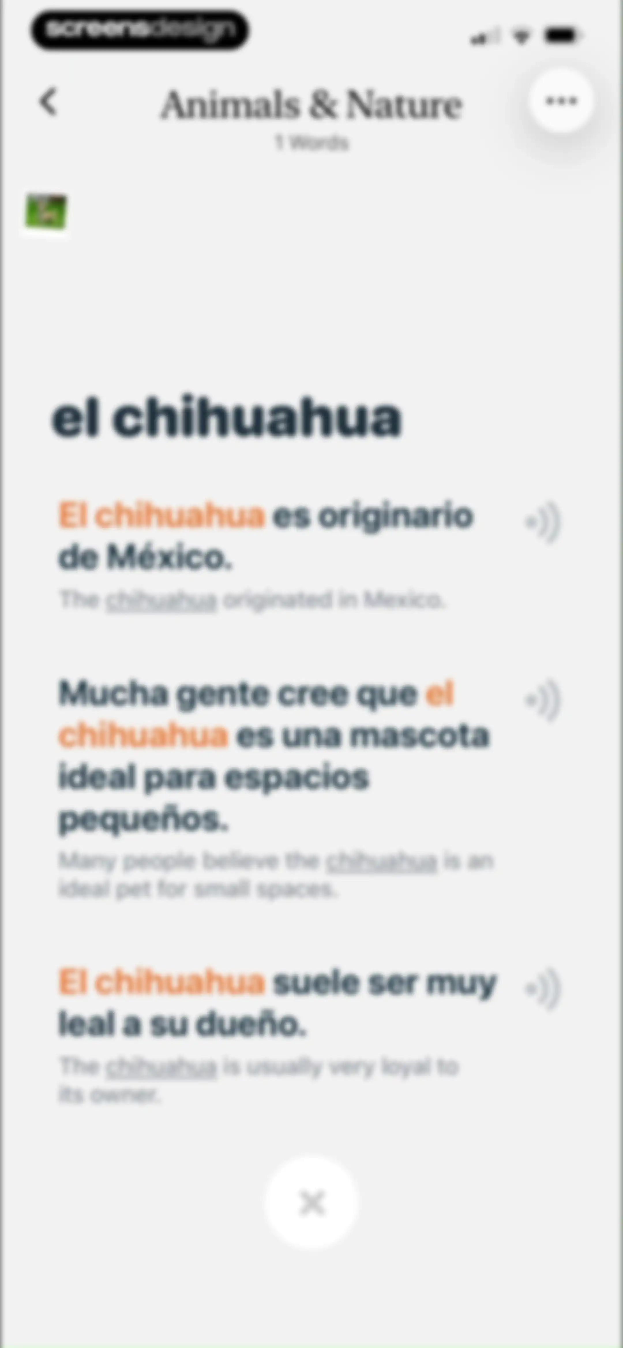 CapWords: AI Language Tutor screen 49