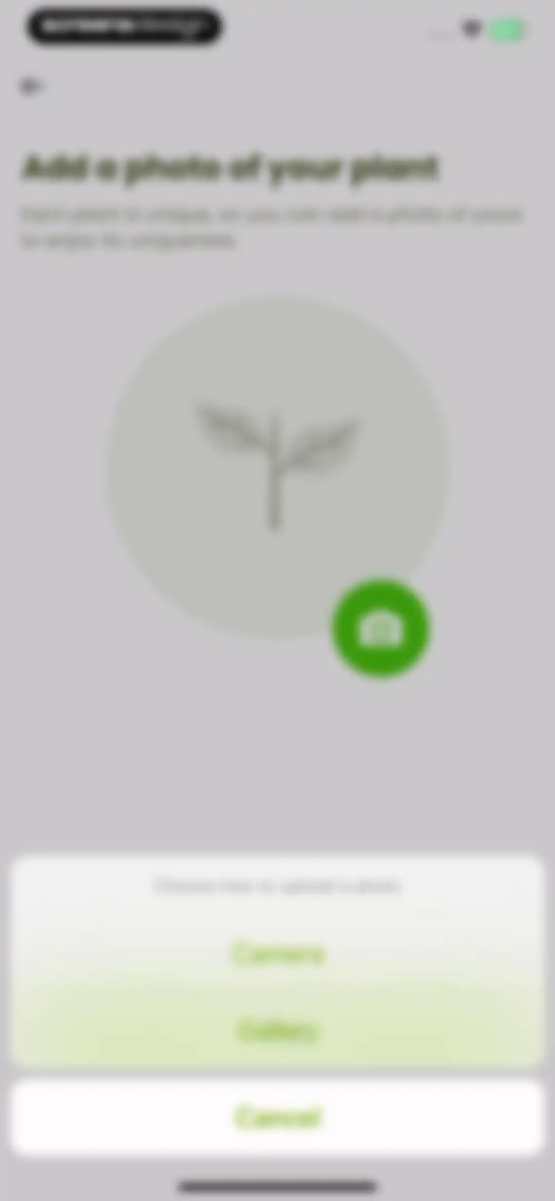 Plant Identifier & Care: Ficus screen 59