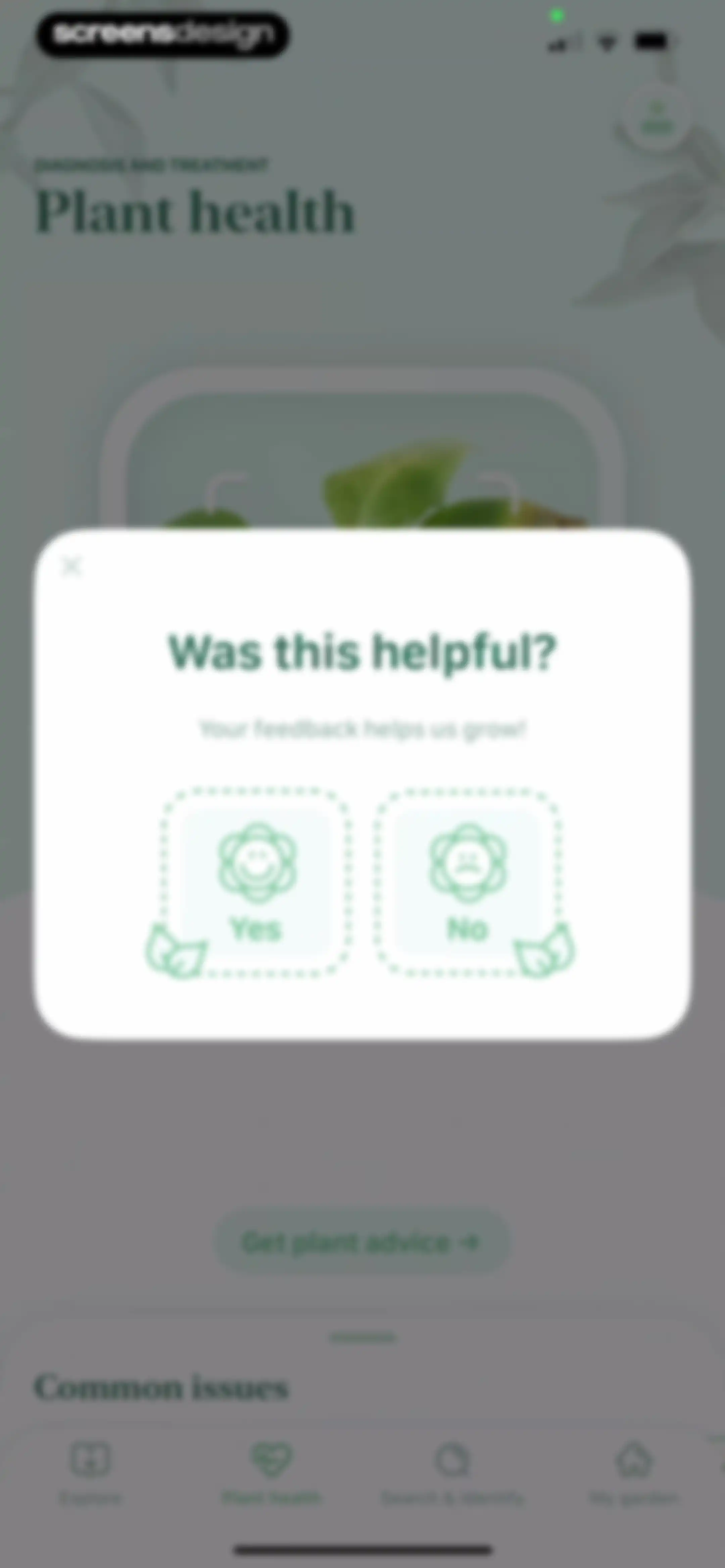 Blossom - Plant Care Guide screen 173
