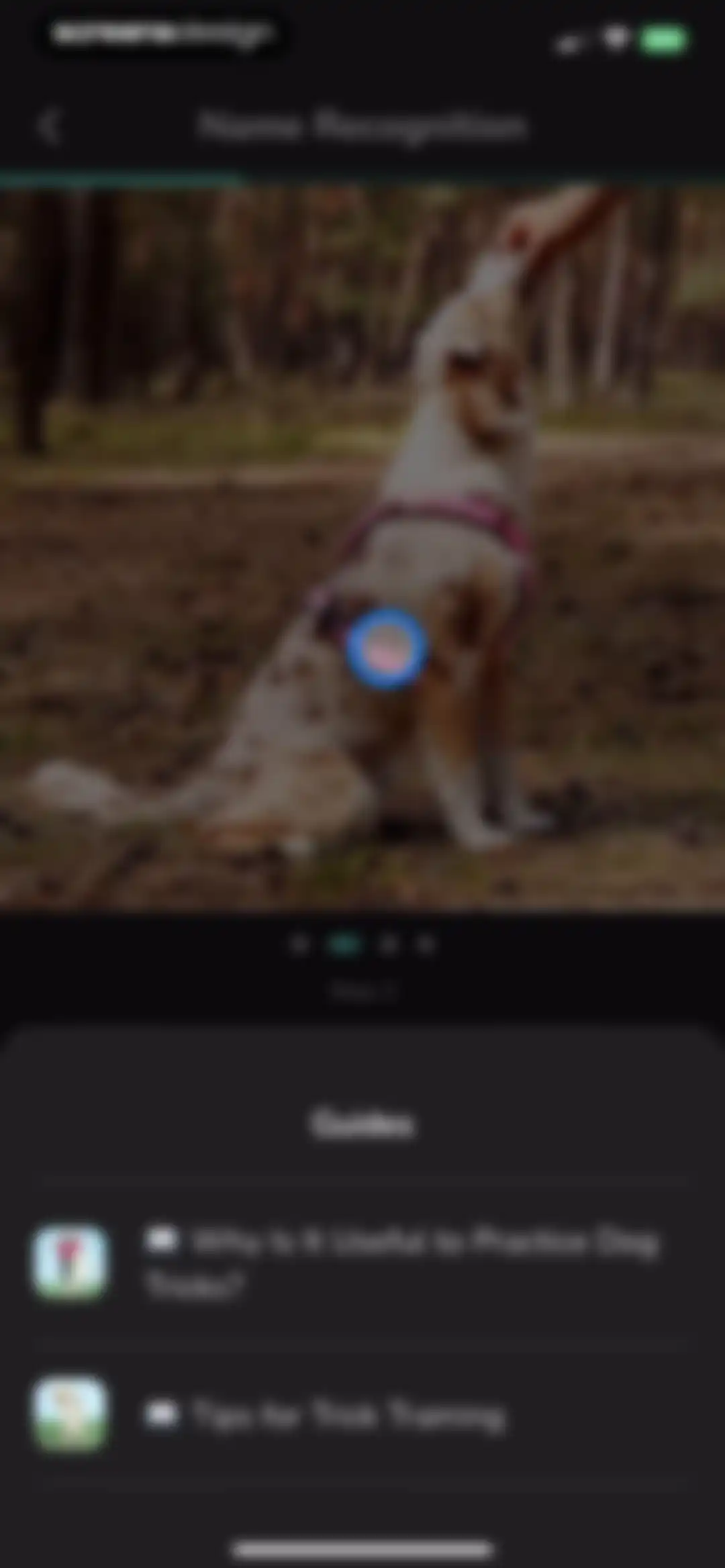 Hundeo - Dog Training & Tricks screen 48