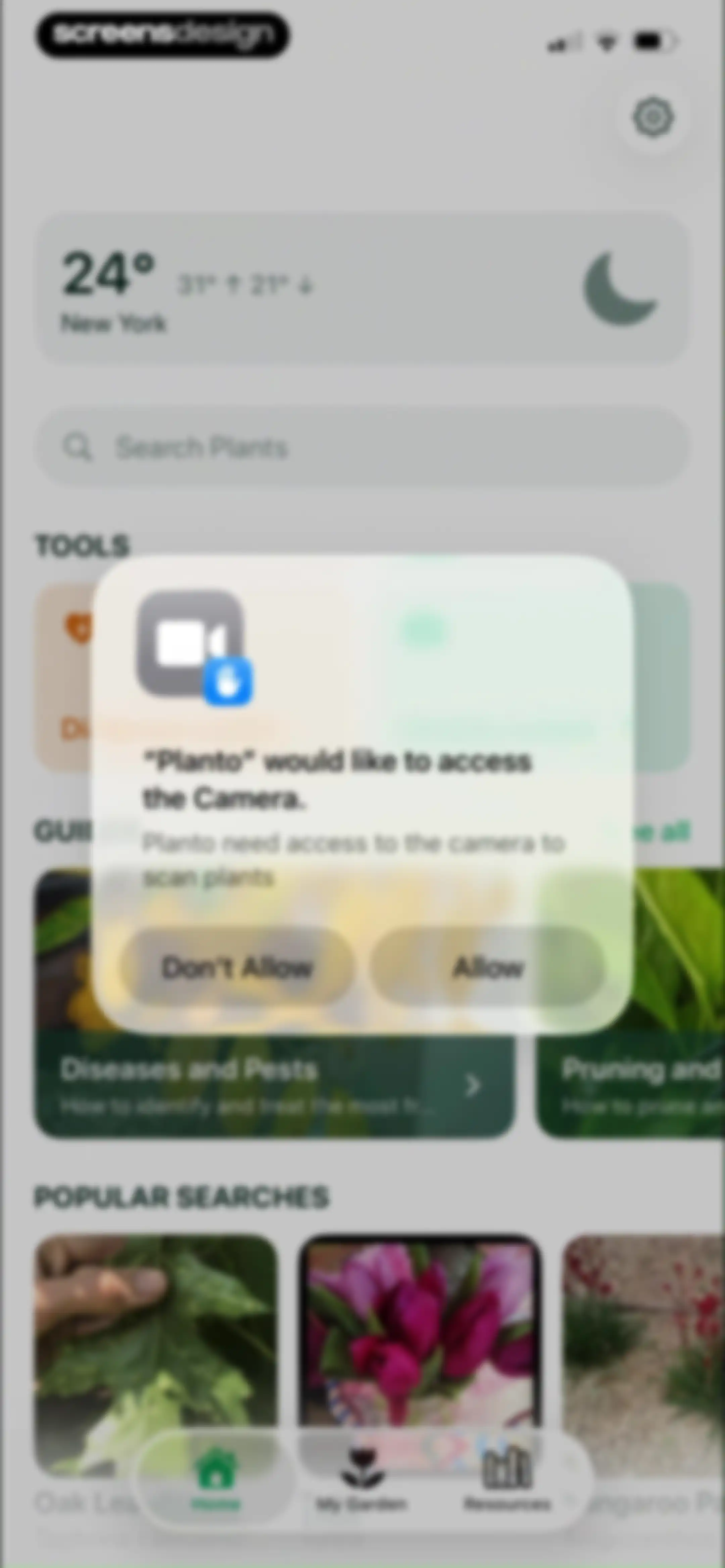 Planto: Plant Identifier screen 24