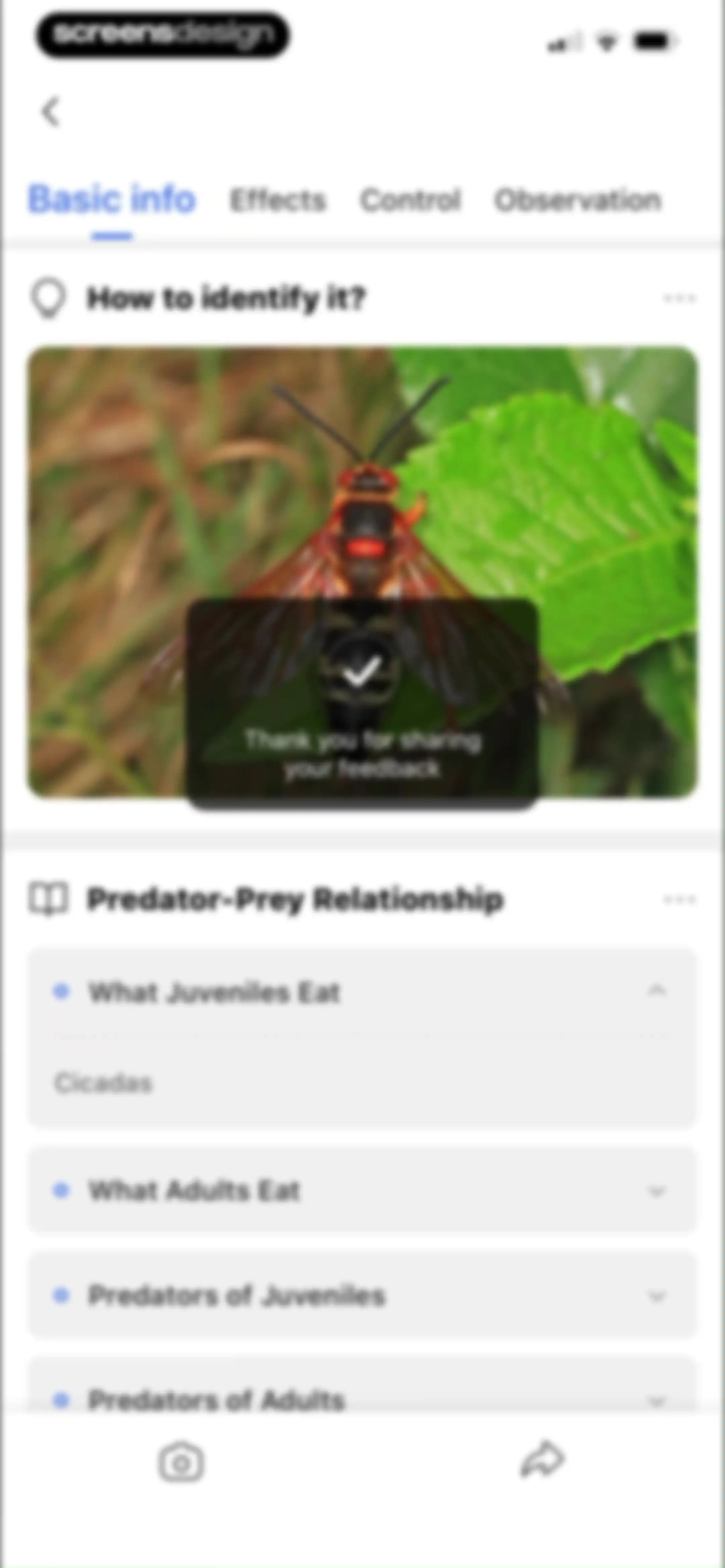 Picture Insect: Bug Identifier screen 37