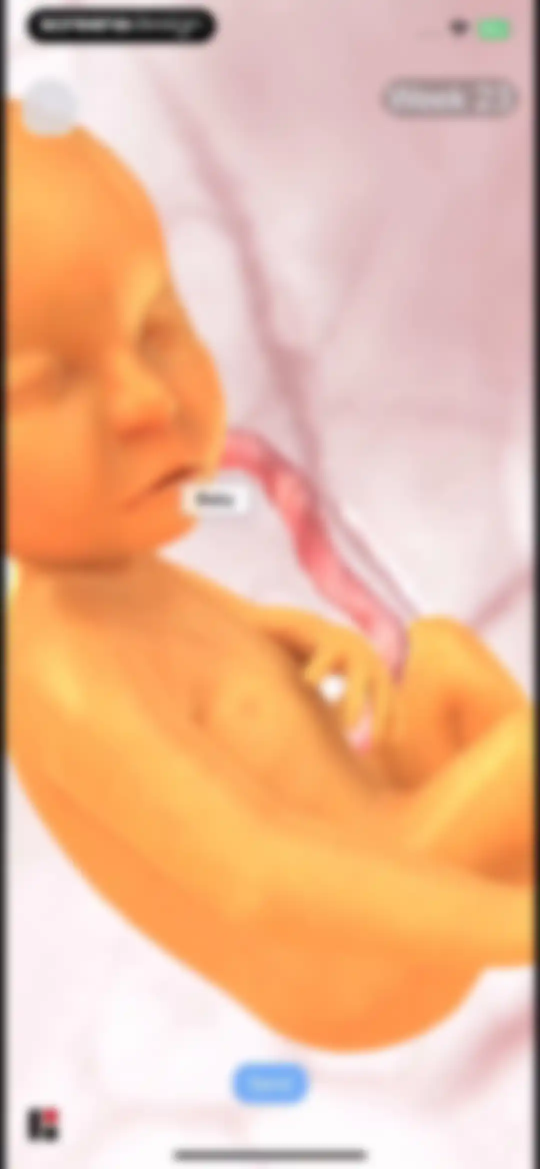 HiMommy: Ovulation & Pregnancy screen 34