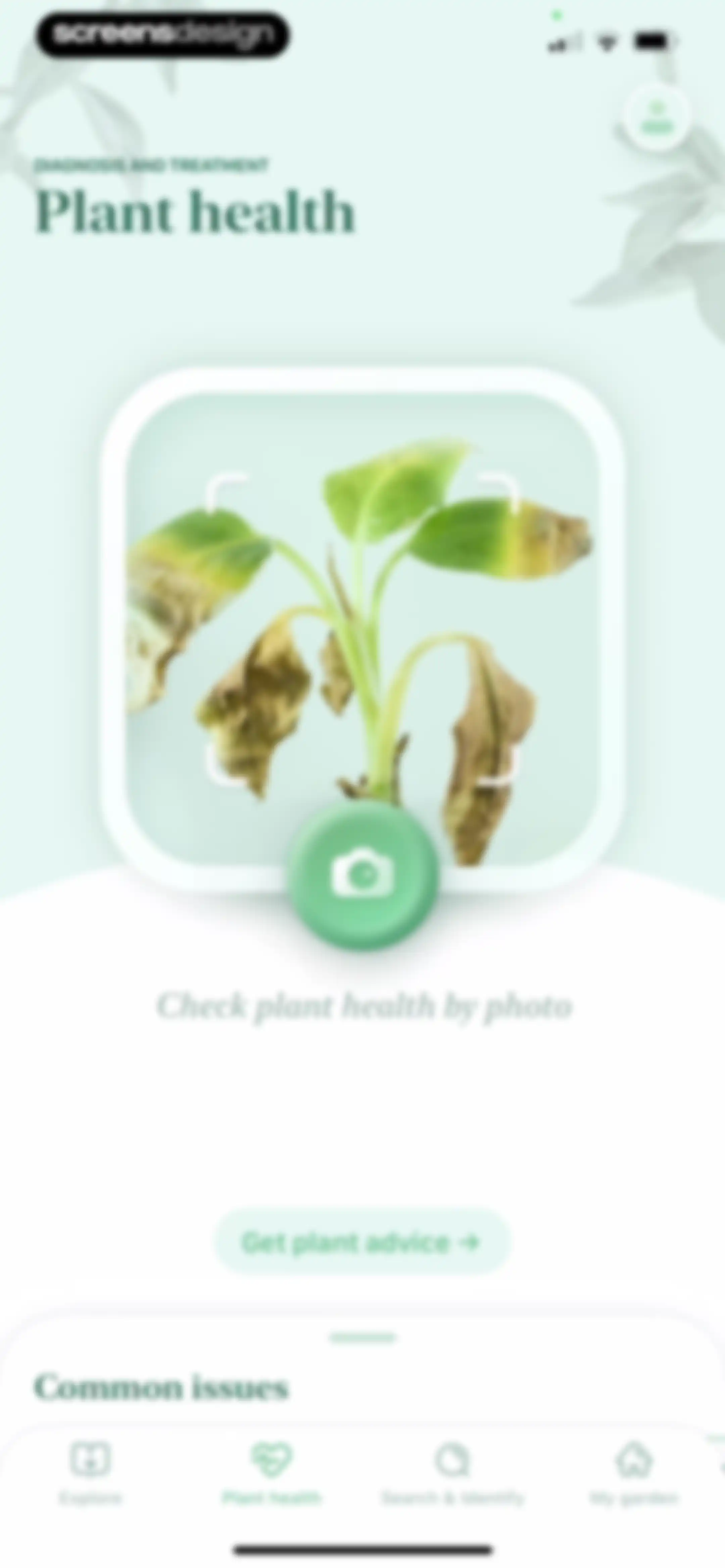 Blossom - Plant Care Guide screen 166