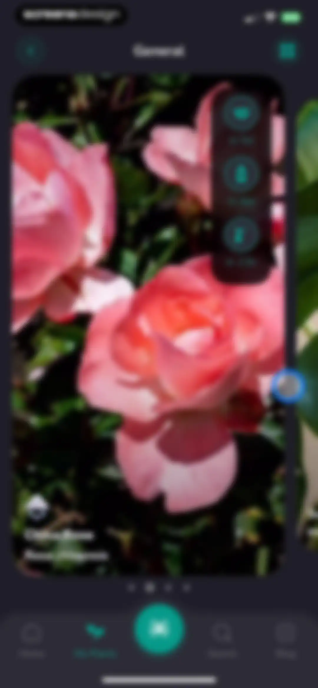 Plantfie・Plant Care Identifier screen 94