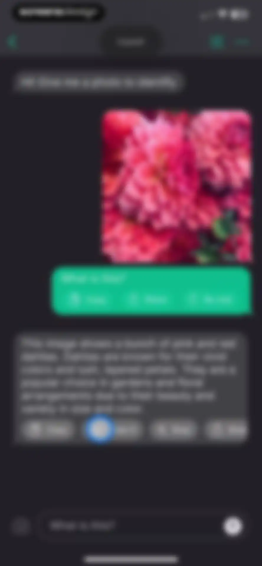 AI+ Chat & Al Video Generator screen 15