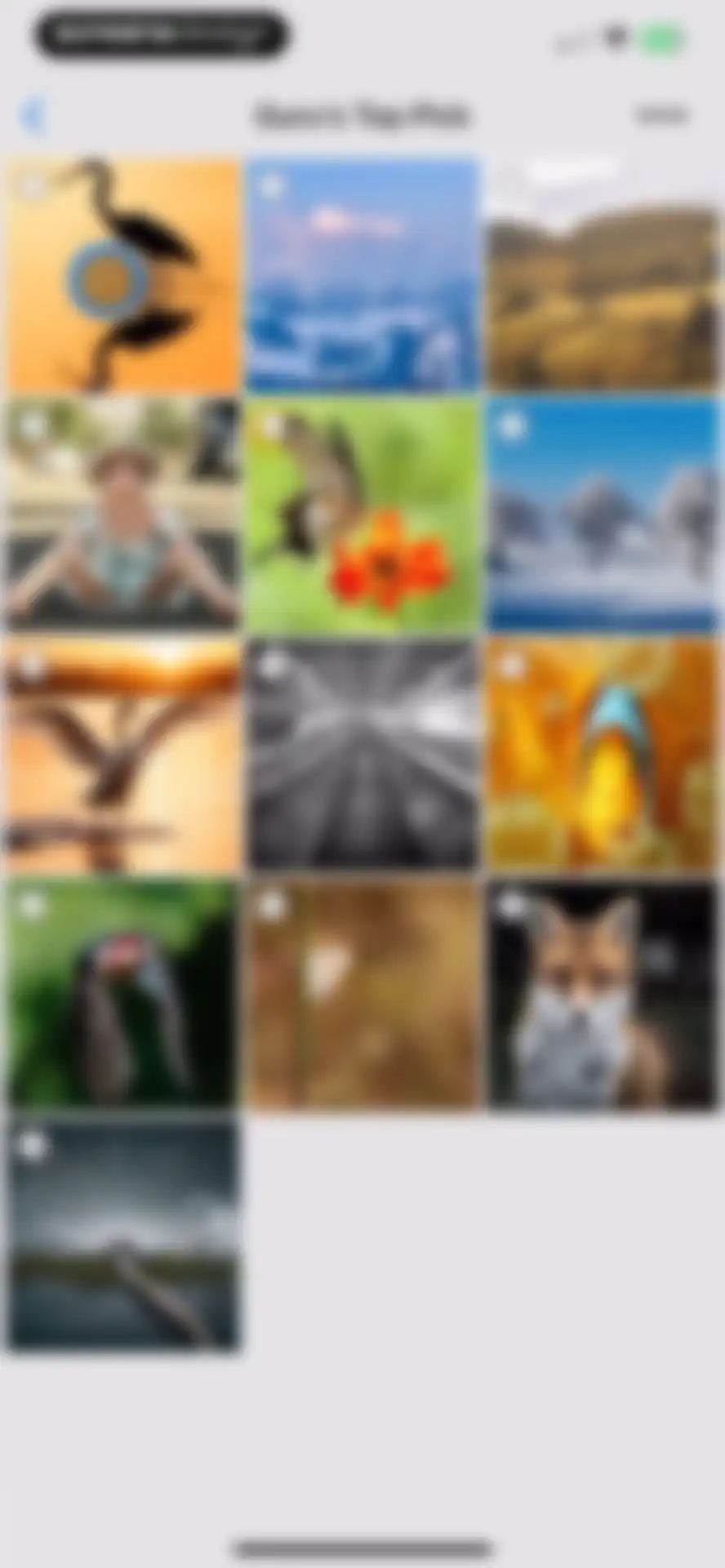 GuruShots: Photography Game screen 22