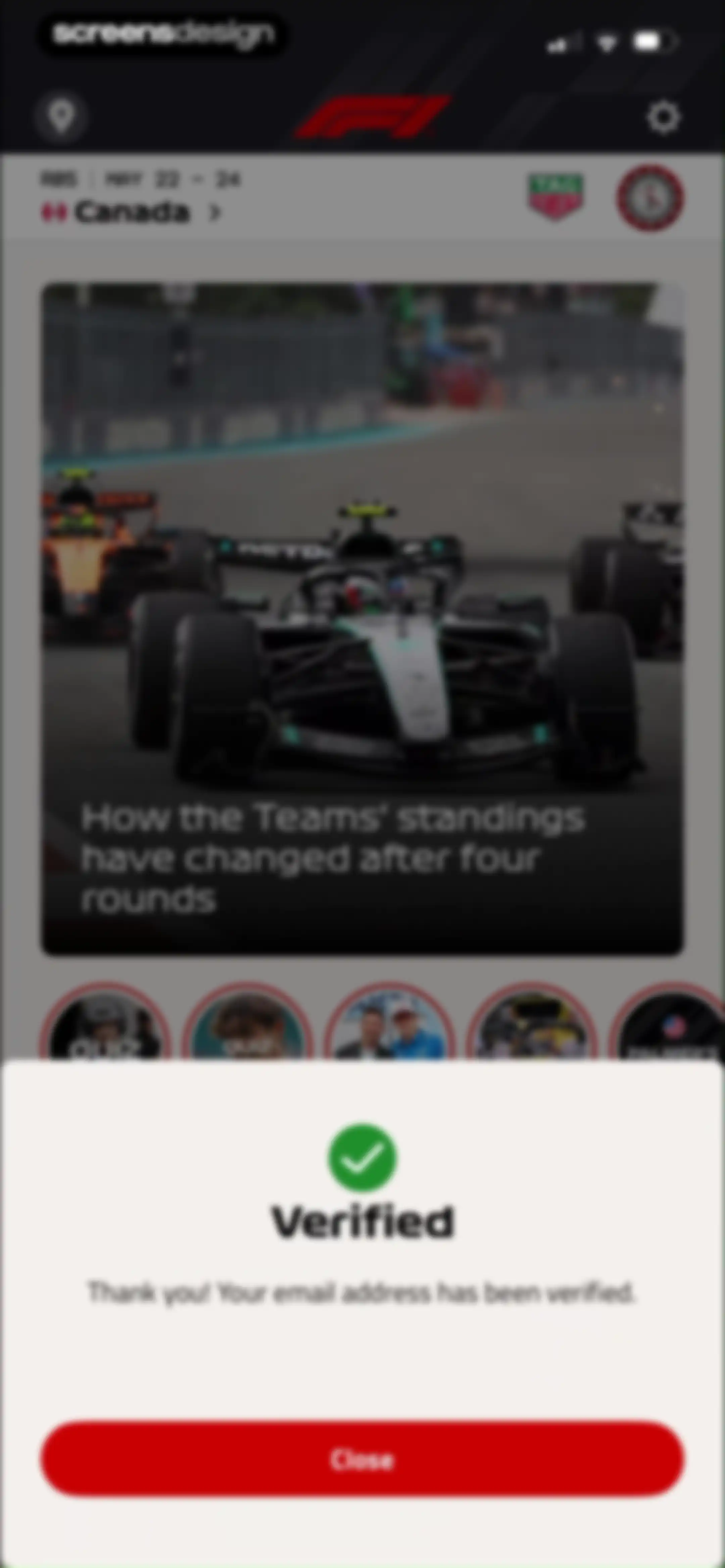 Formula 1® screen 20