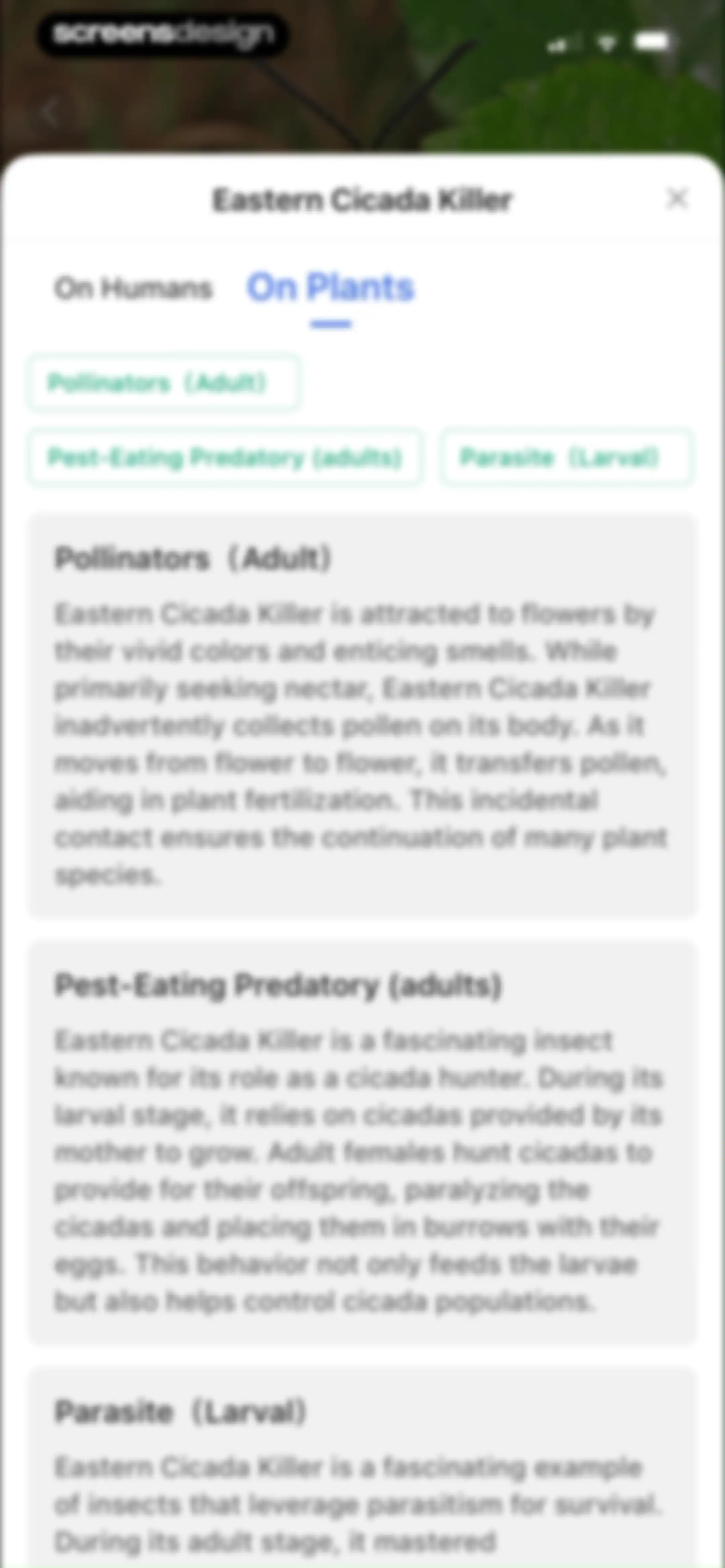 Picture Insect: Bug Identifier screen 25