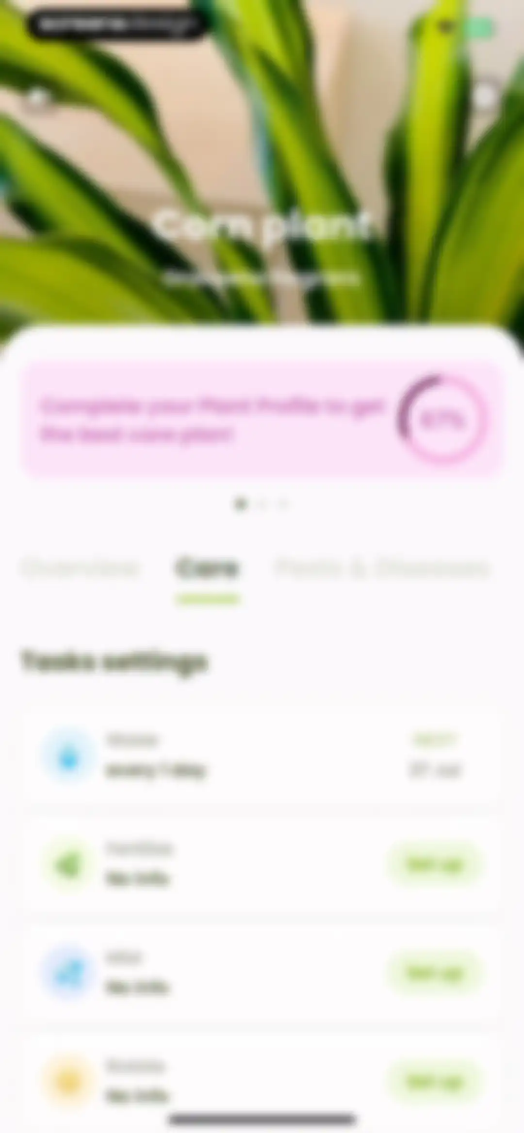 Plant Identifier & Care: Ficus screen 119
