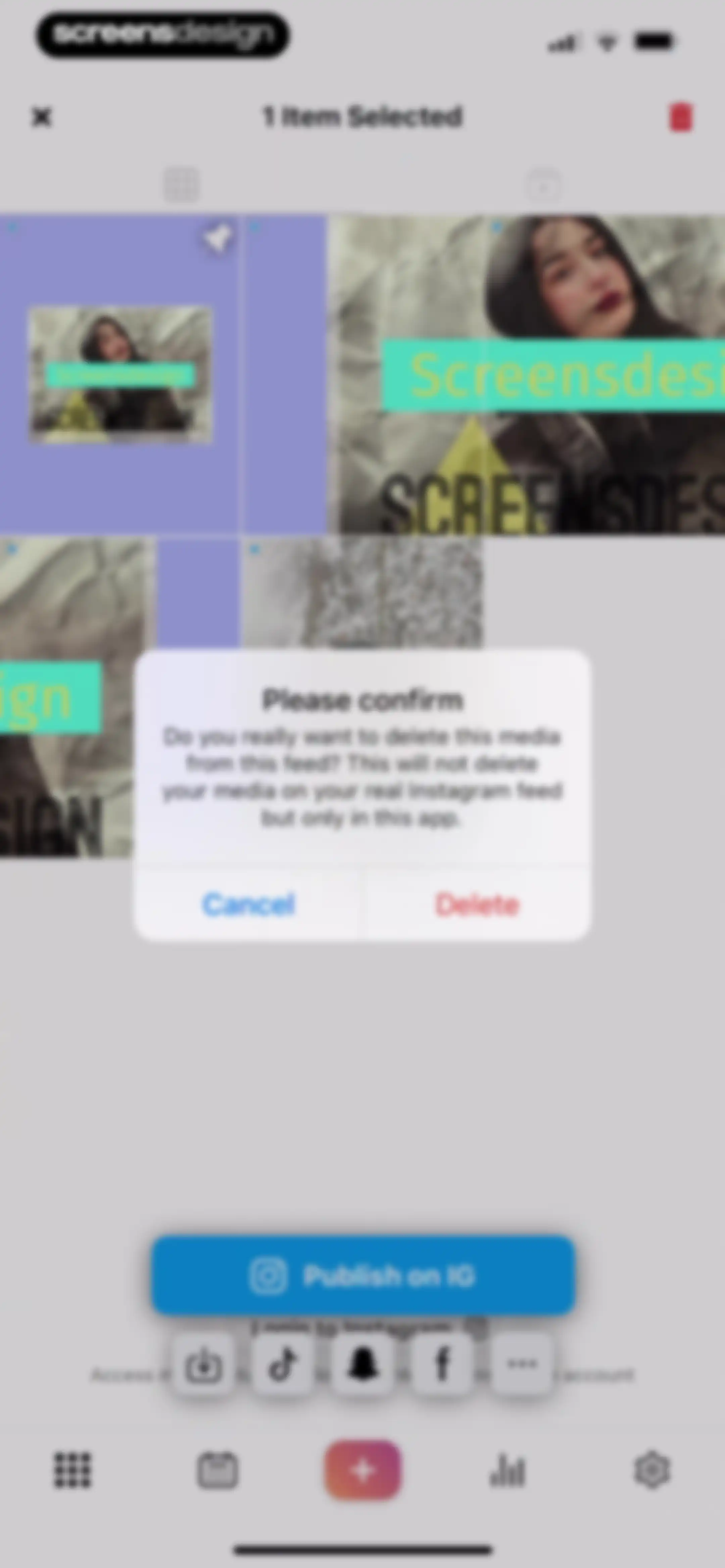 Feed Preview: Planner for IG screen 72