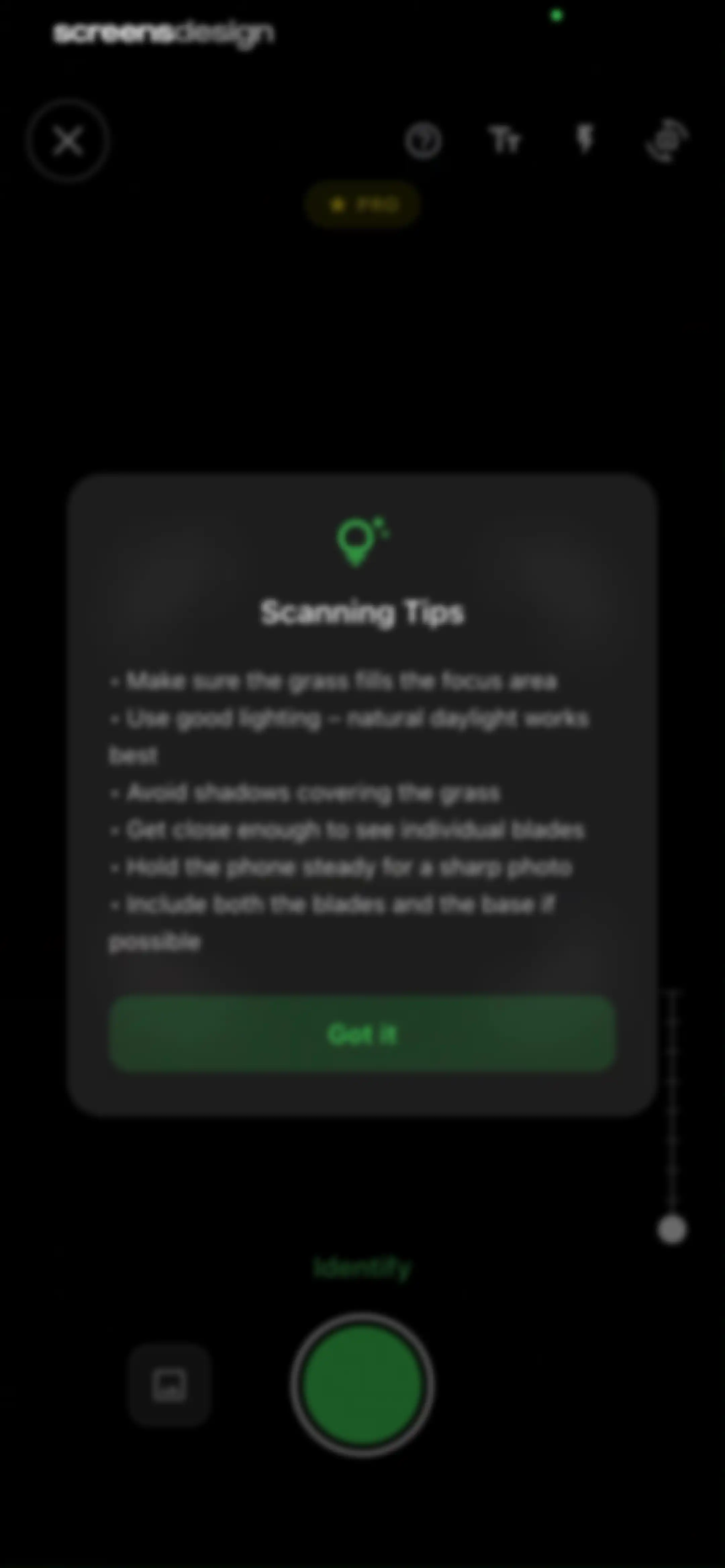 Grass Identifier: AI Scan screen 43