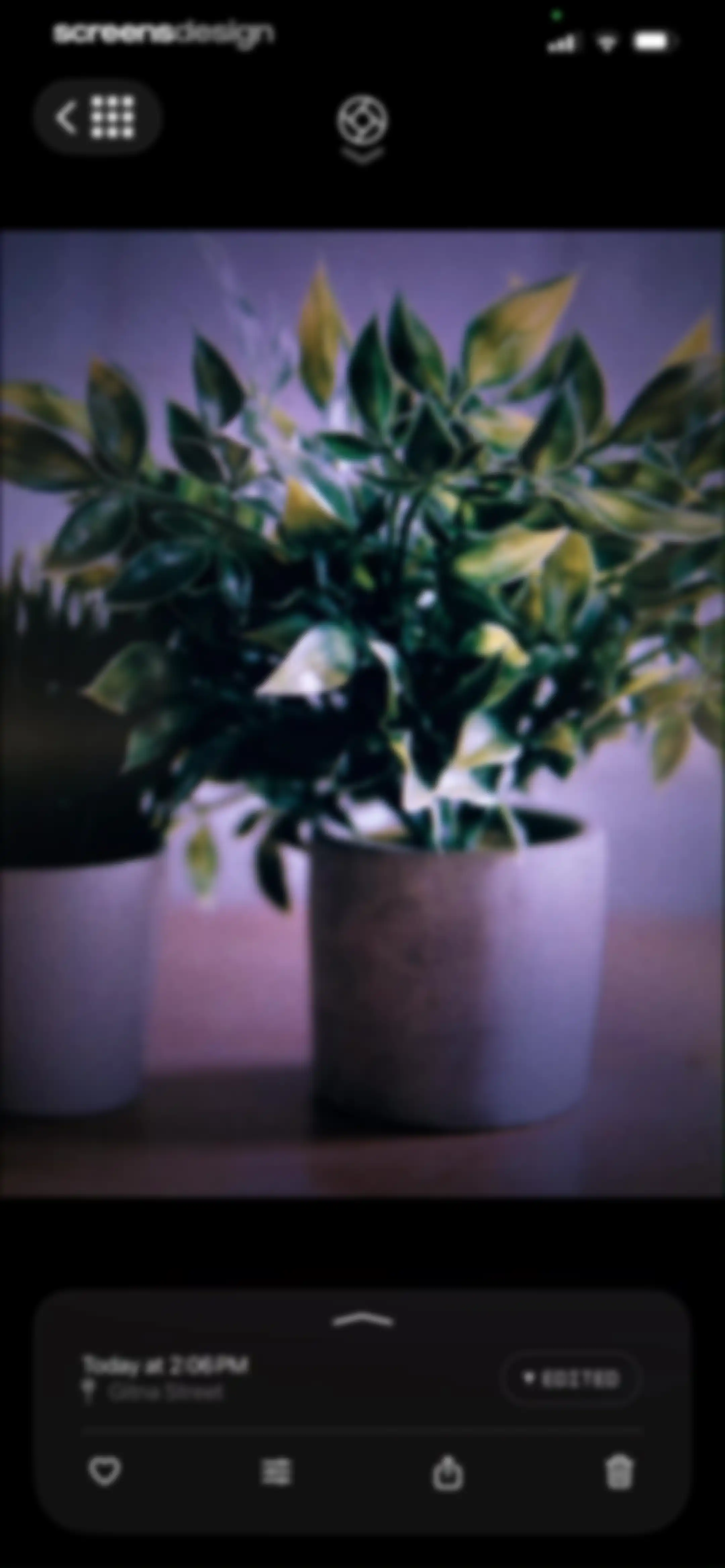 Halide Mark III - Pro Camera screen 45