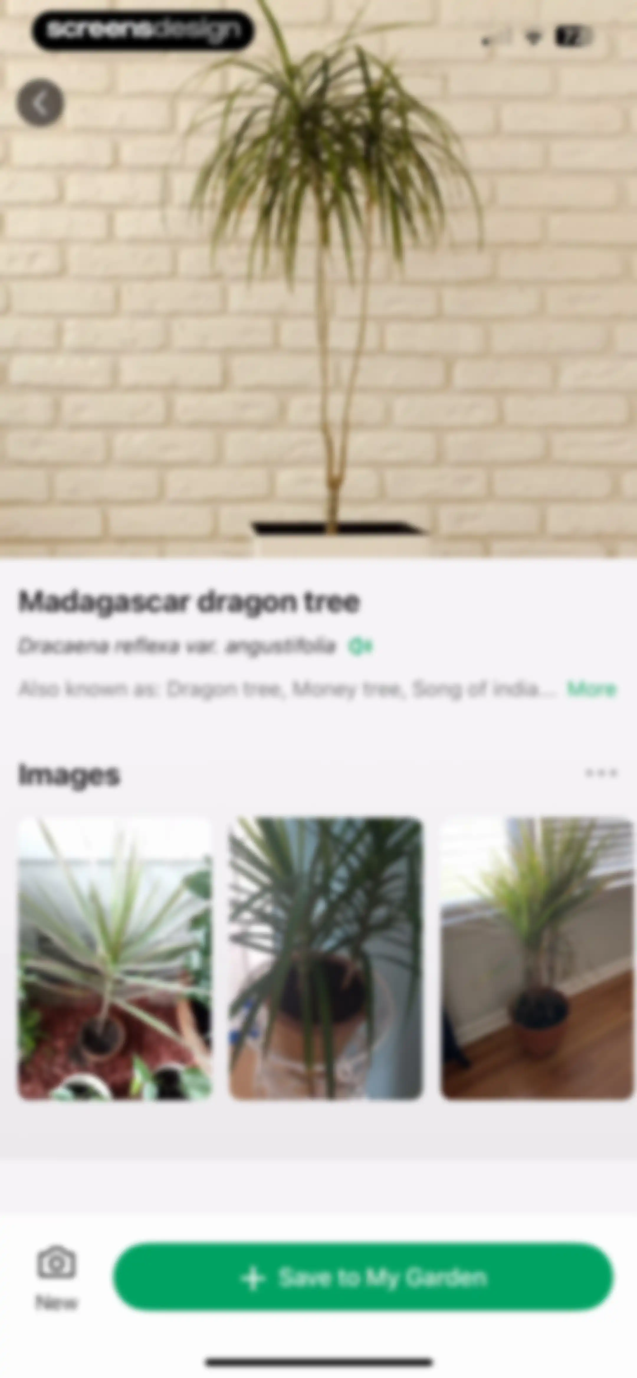 PictureThis - Plant Identifier screen 123