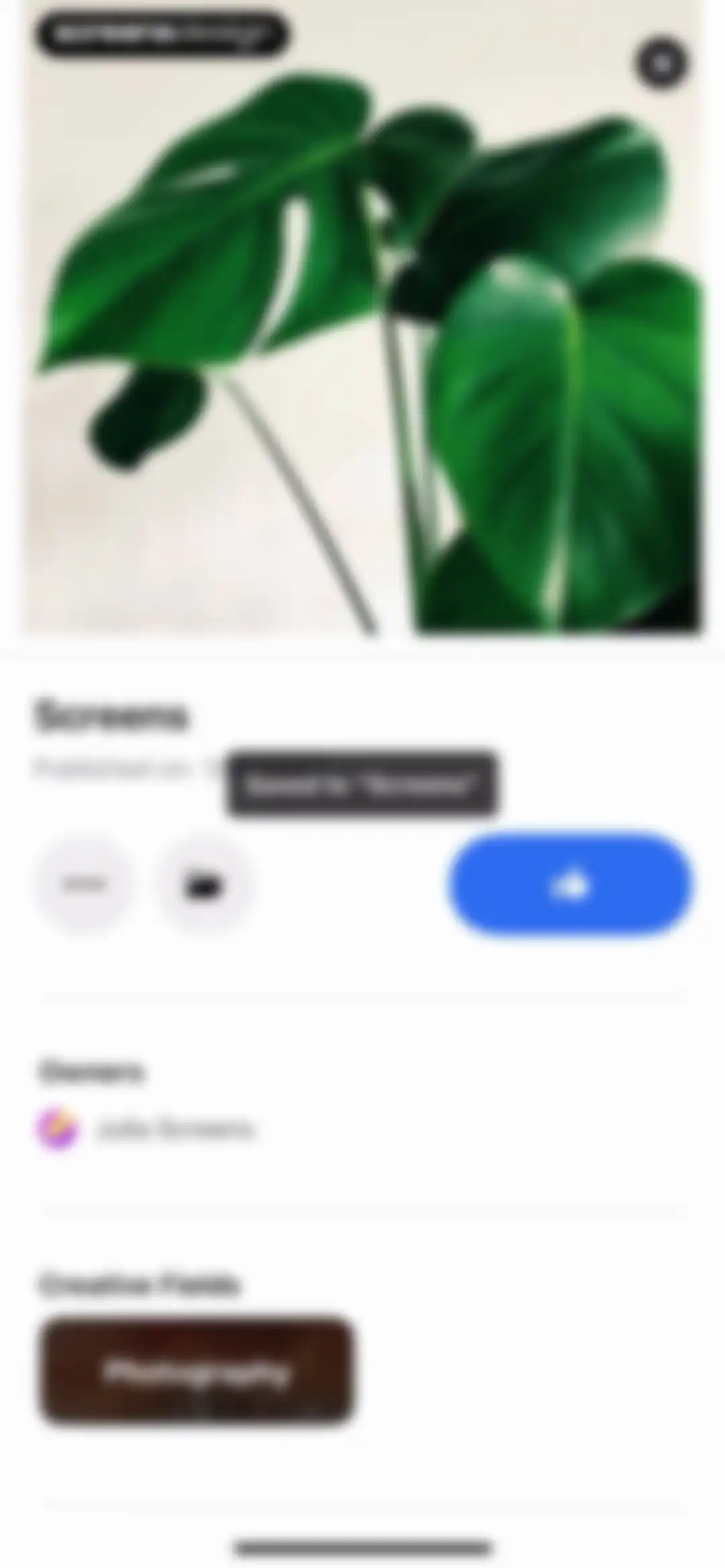 Behance – Creative Portfolios screen 121