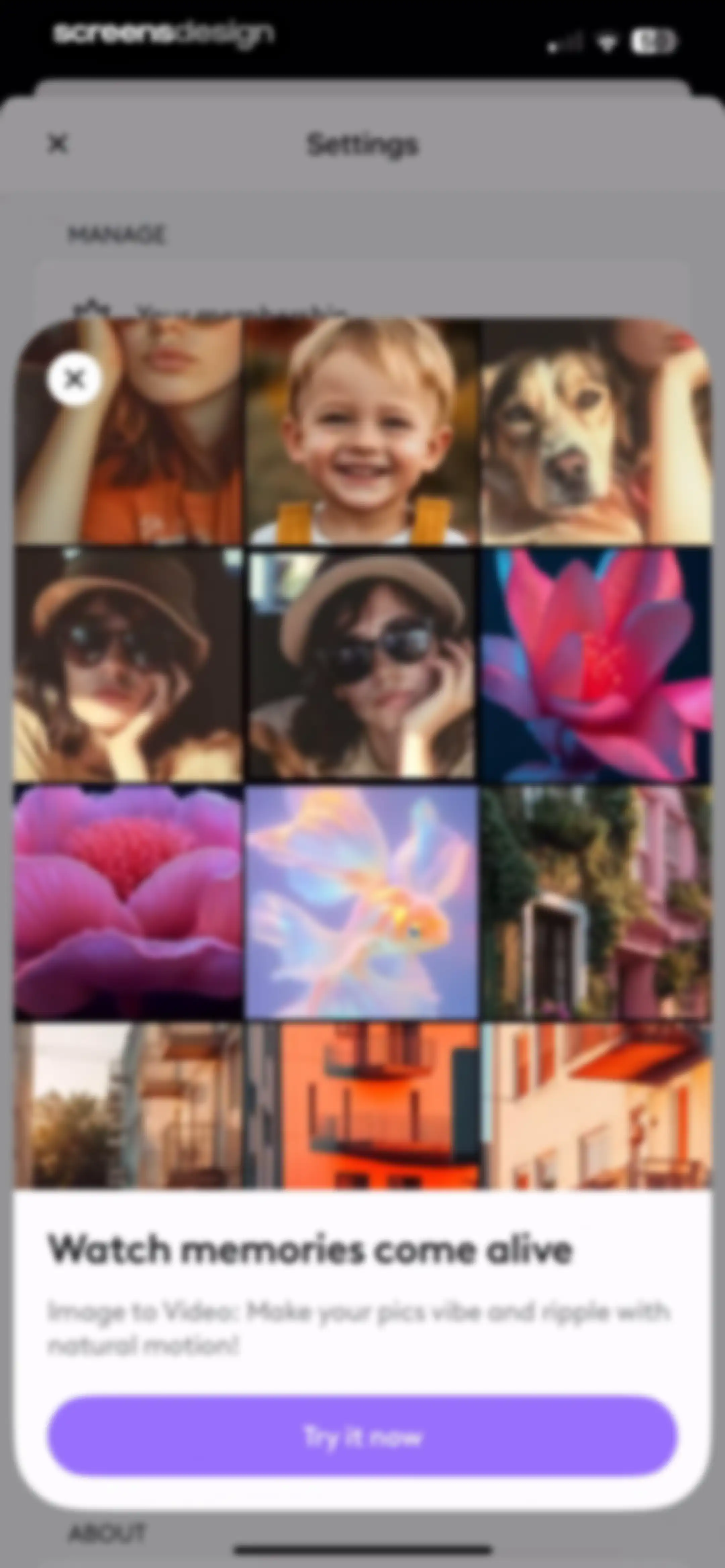 Photoleap: AI Photo Generator screen 113