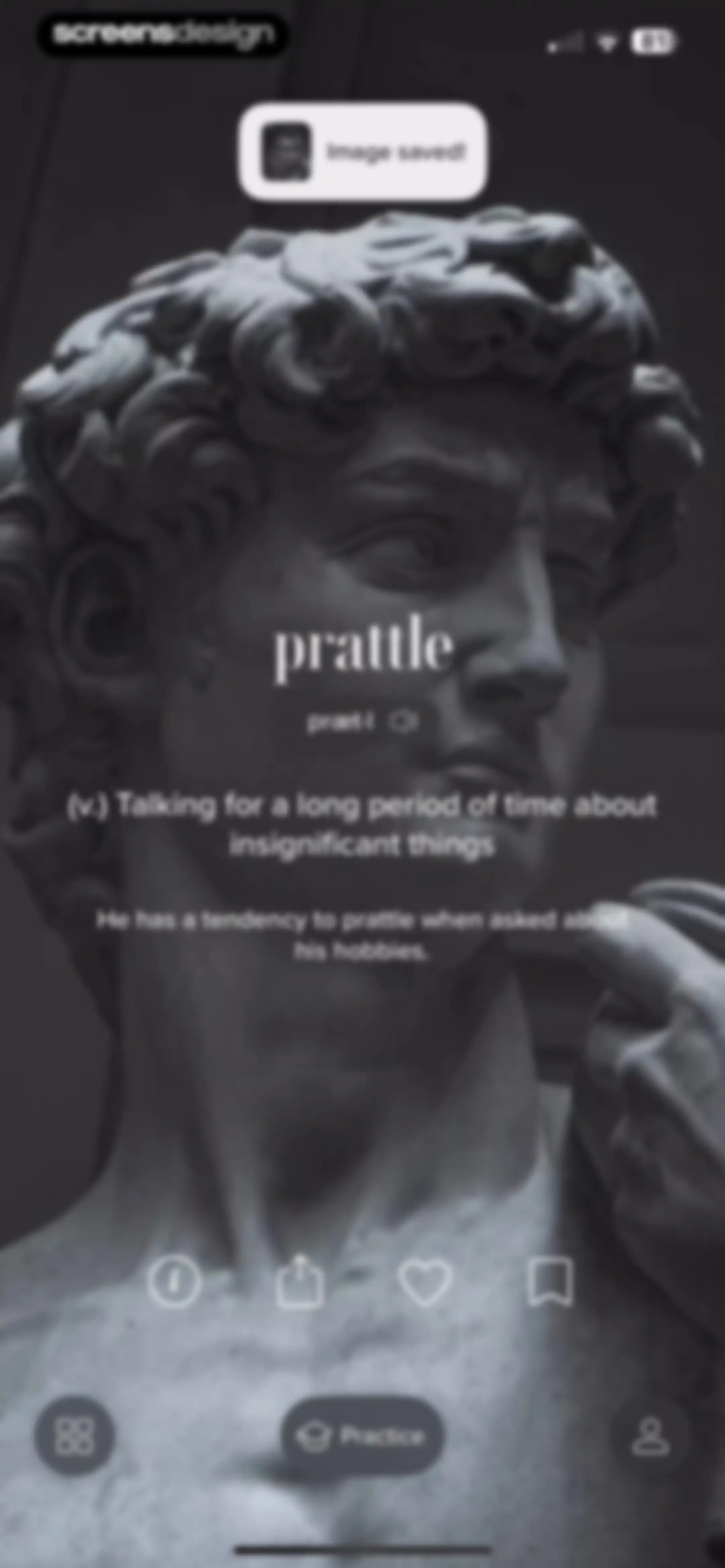 Vocabulary - Learn words daily screen 36
