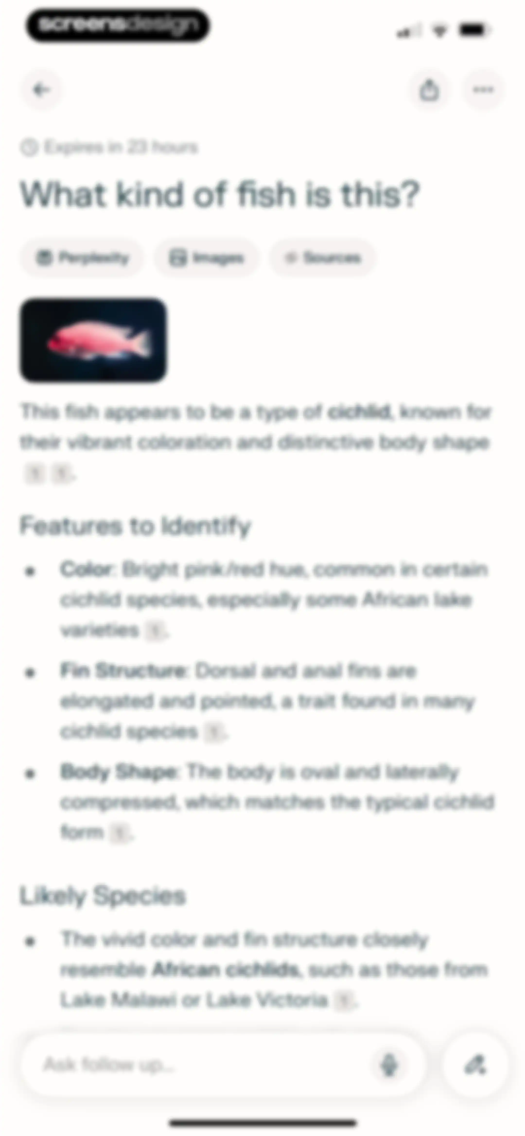 Perplexity - AI Search & Chat screen 54
