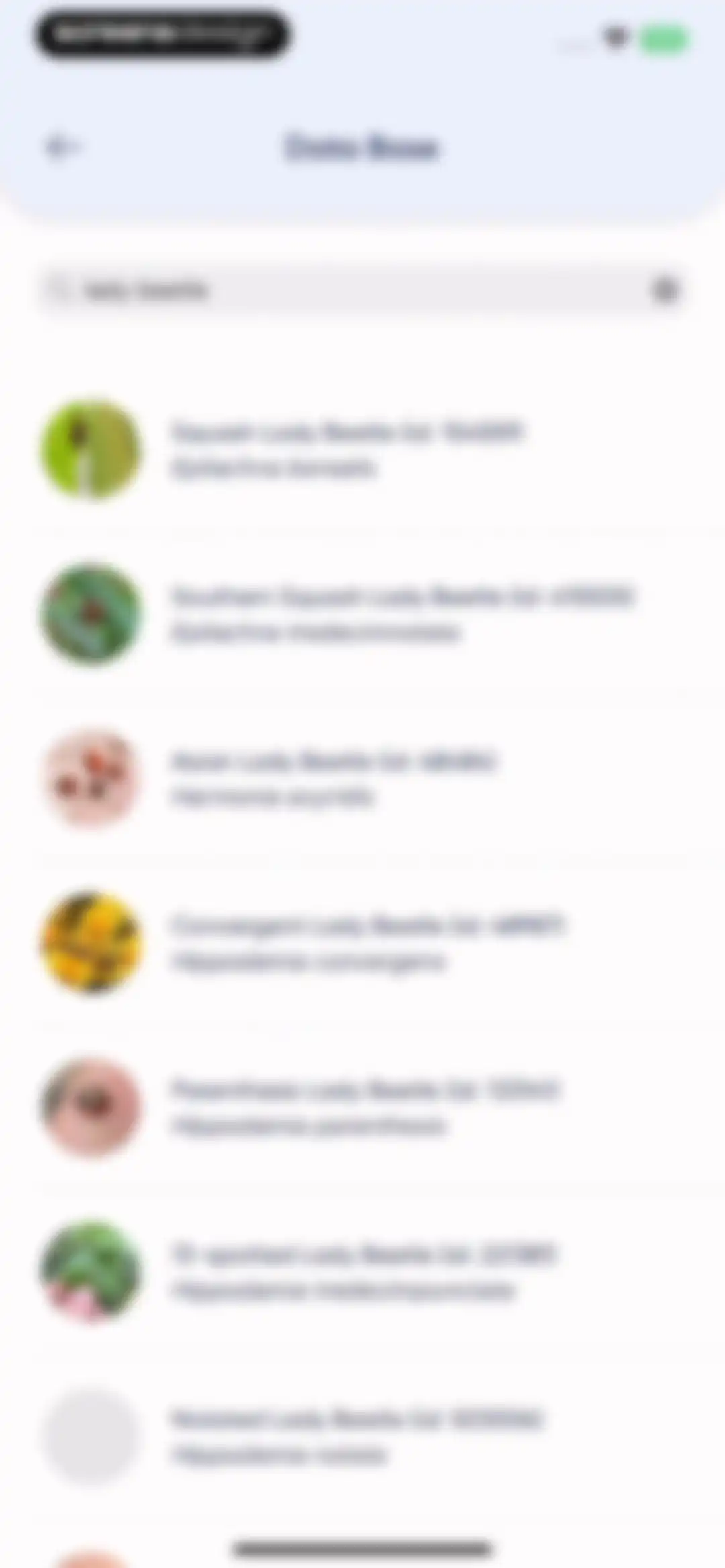 Bug Identifier: AI Insect id screen 29