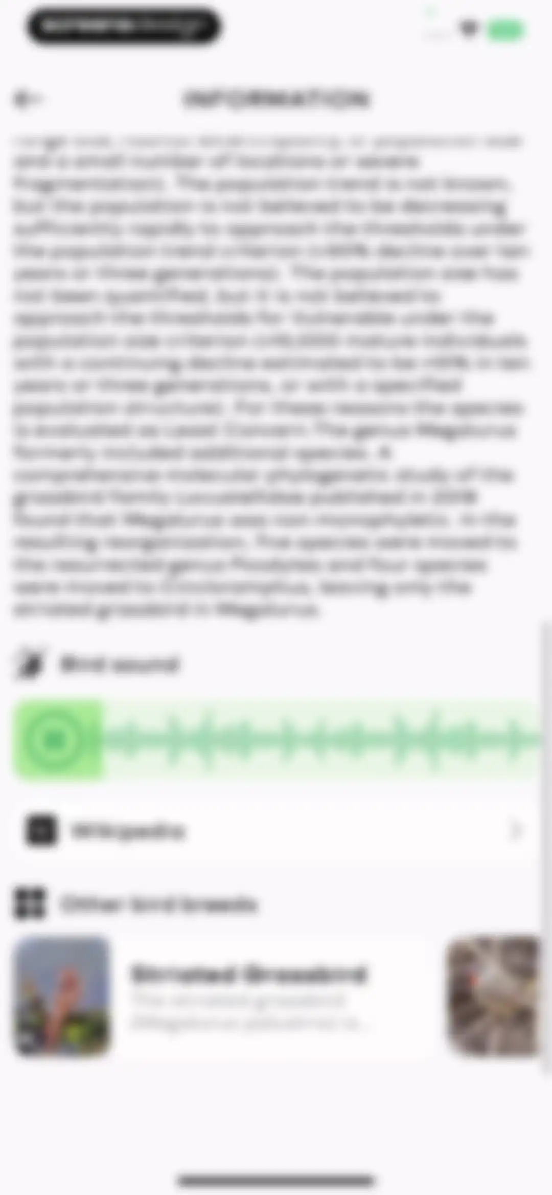Bird Sounds Identifier Call ID screen 29