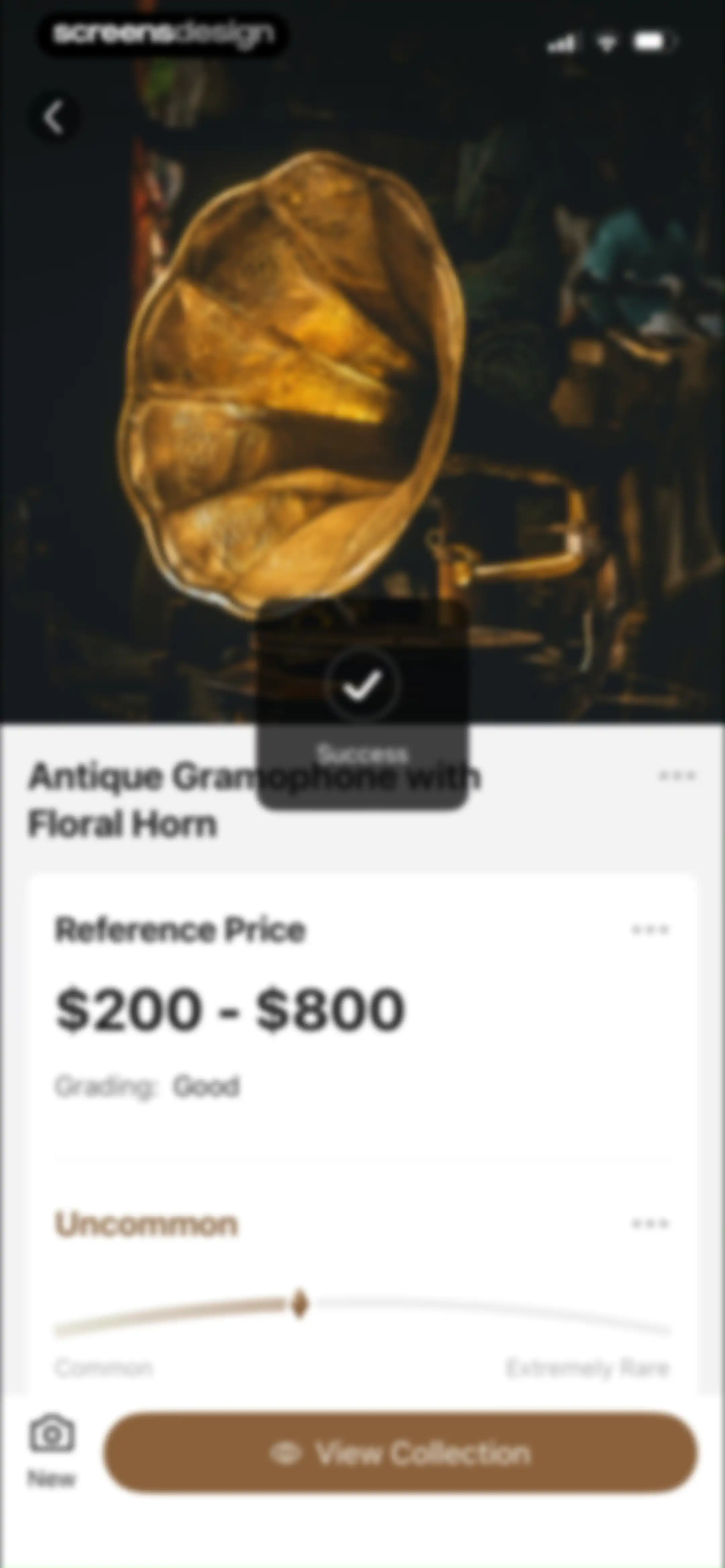AntiqSnap: Antique Identifier screen 43