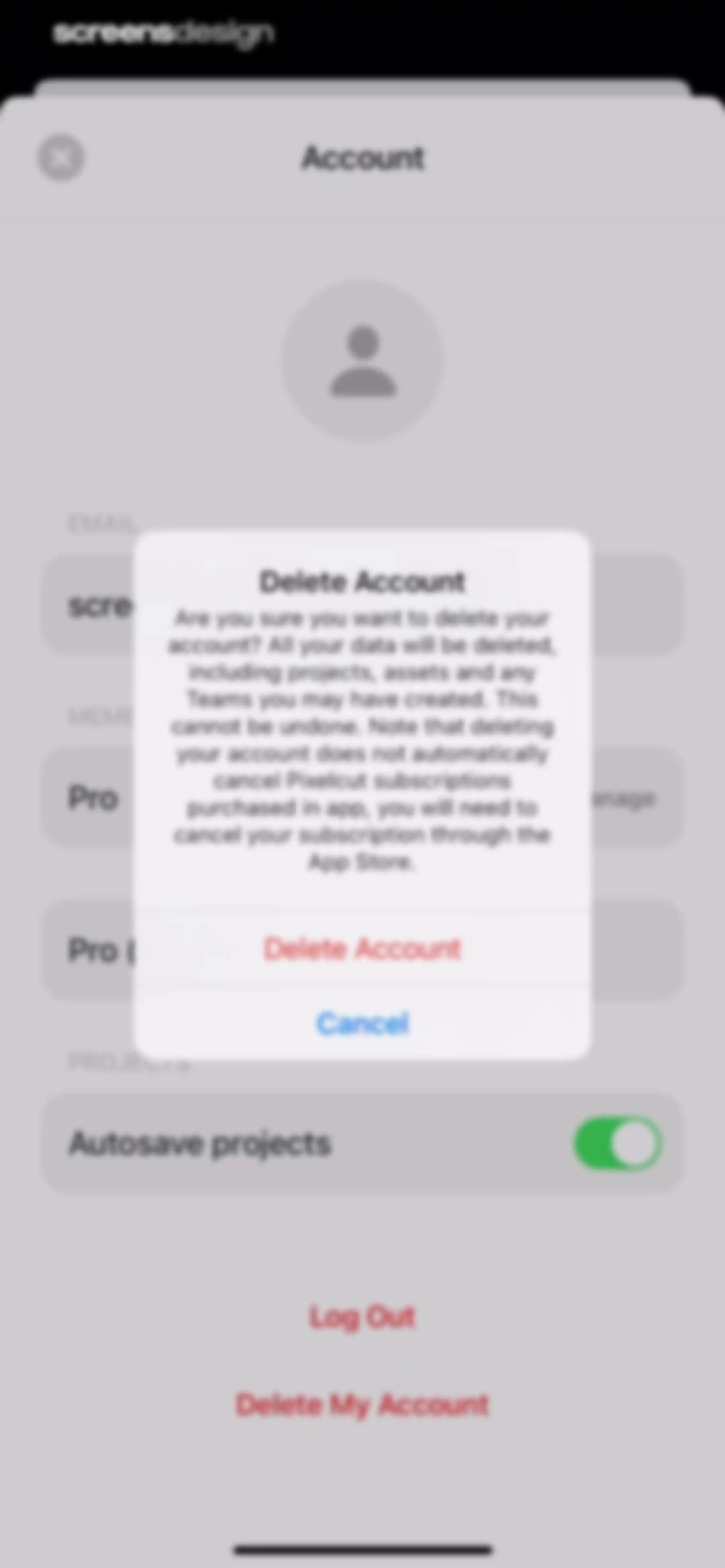 Pixelcut AI Photo Editor screen 150