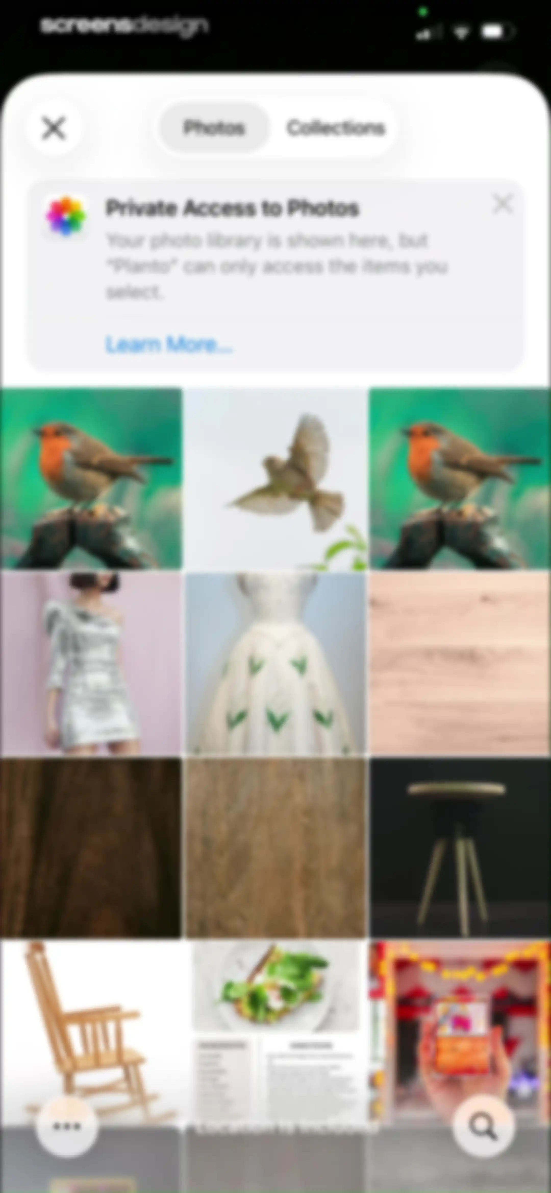 Planto: Plant Identifier screen 31