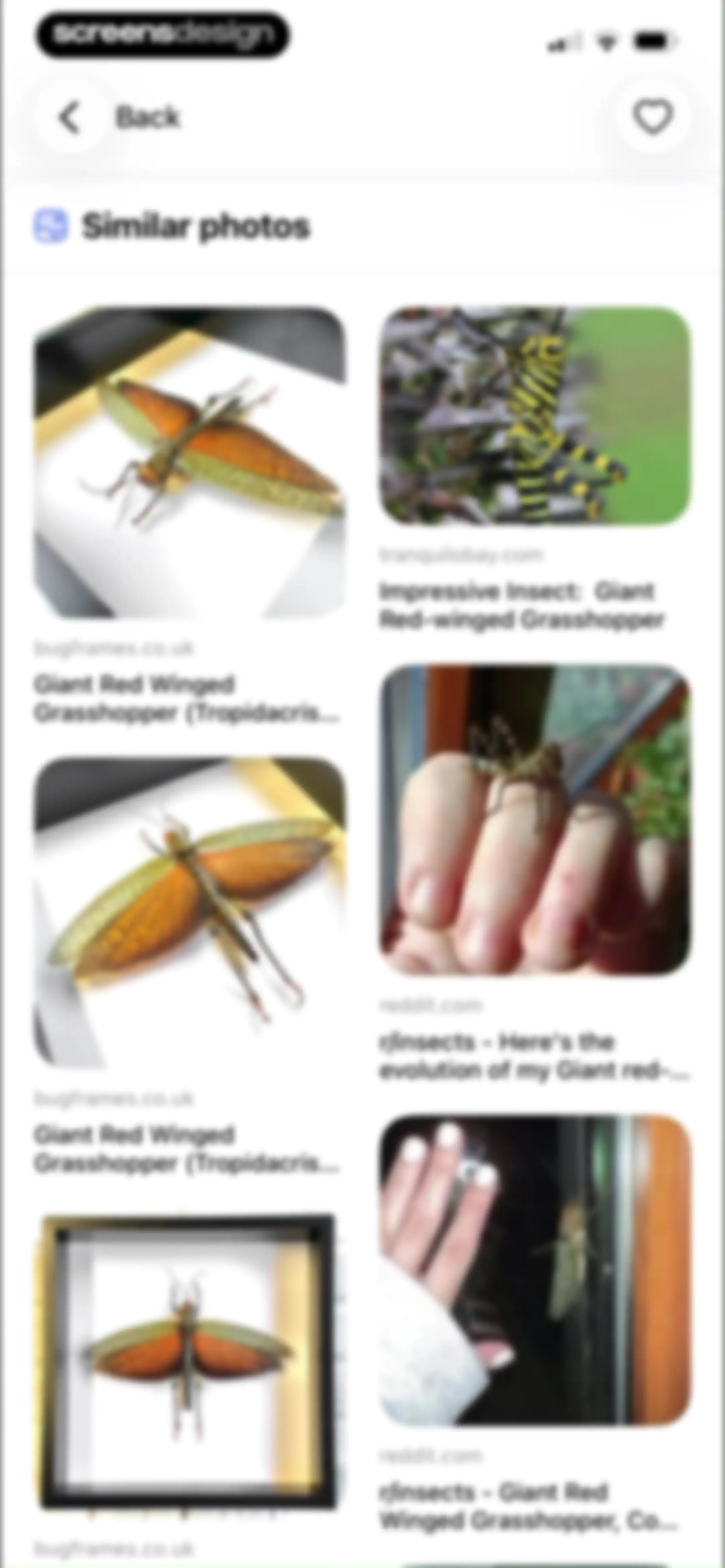 LensAI・Identifier・Image Search screen 49