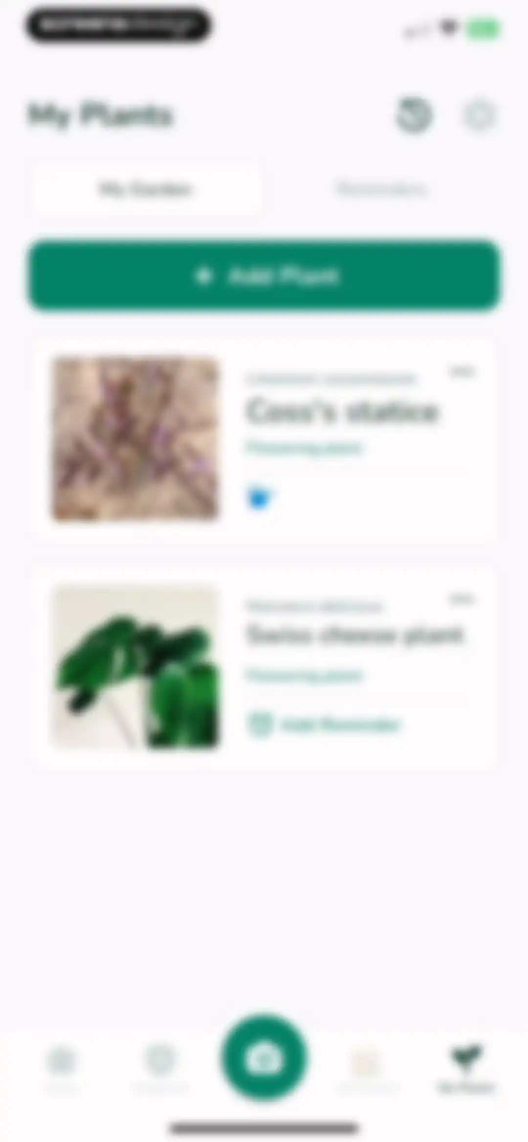Plantify: AI Plant Identifier screen 47