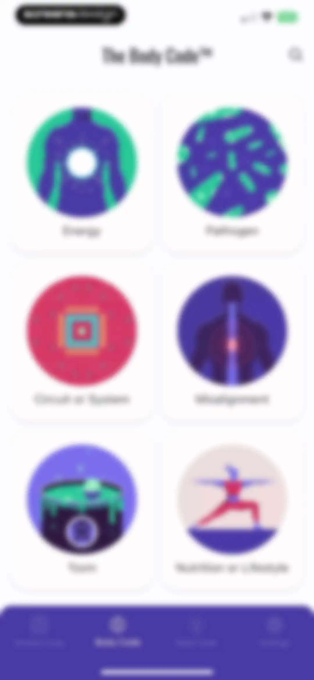 The Body Code System screen 13