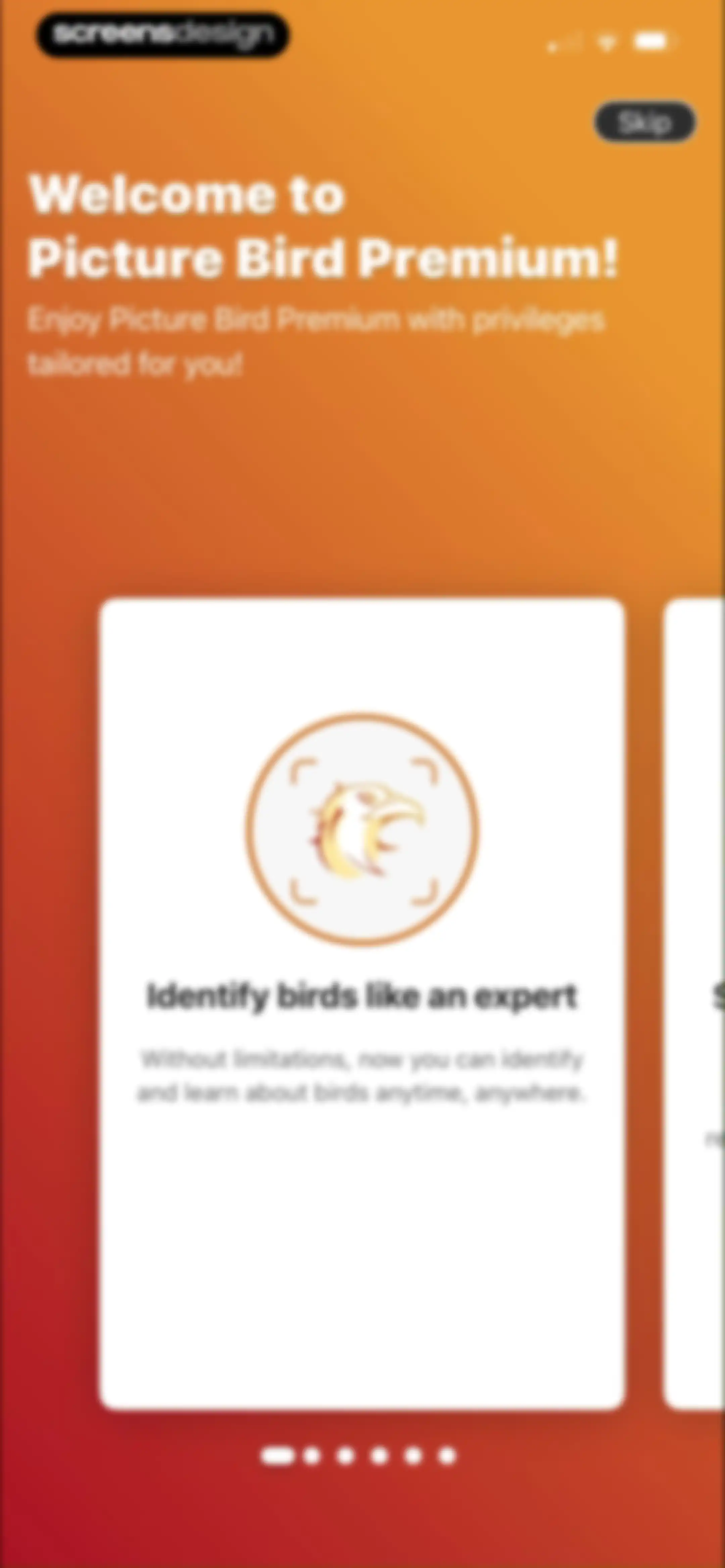 Picture Bird: Bird identifier screen 20