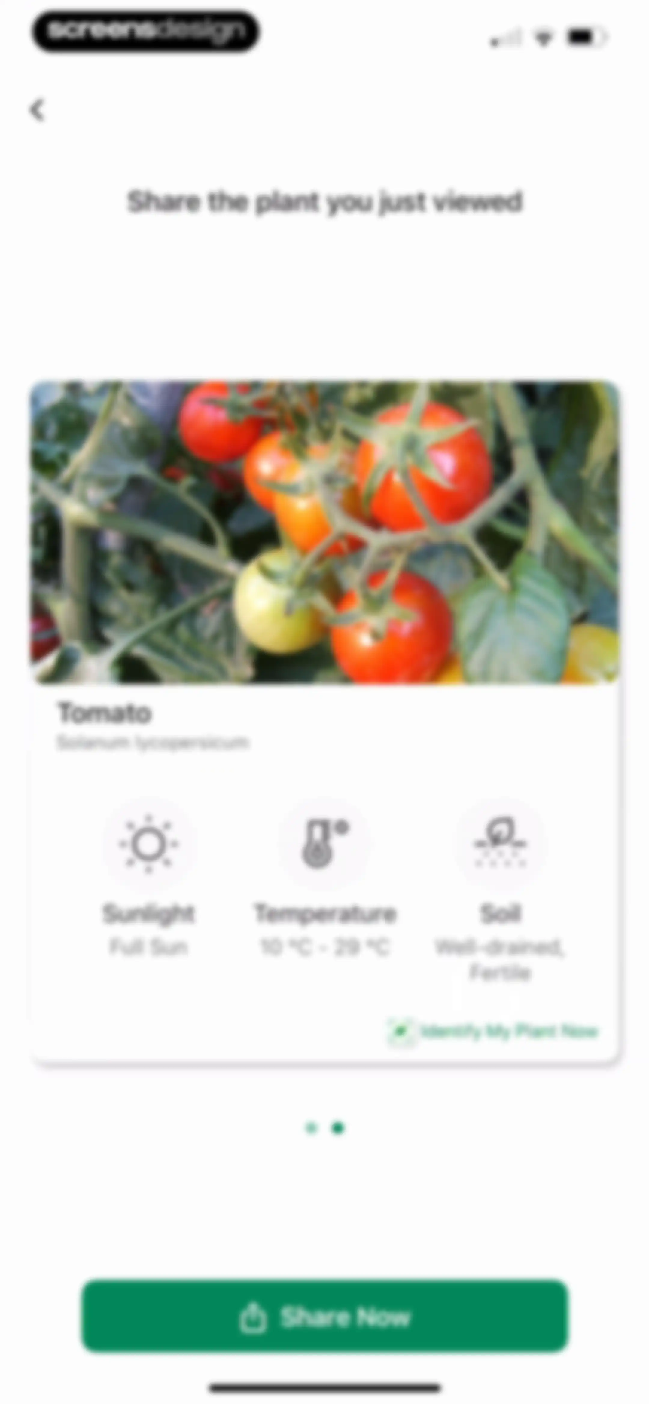 Identify My Plant Now screen 18
