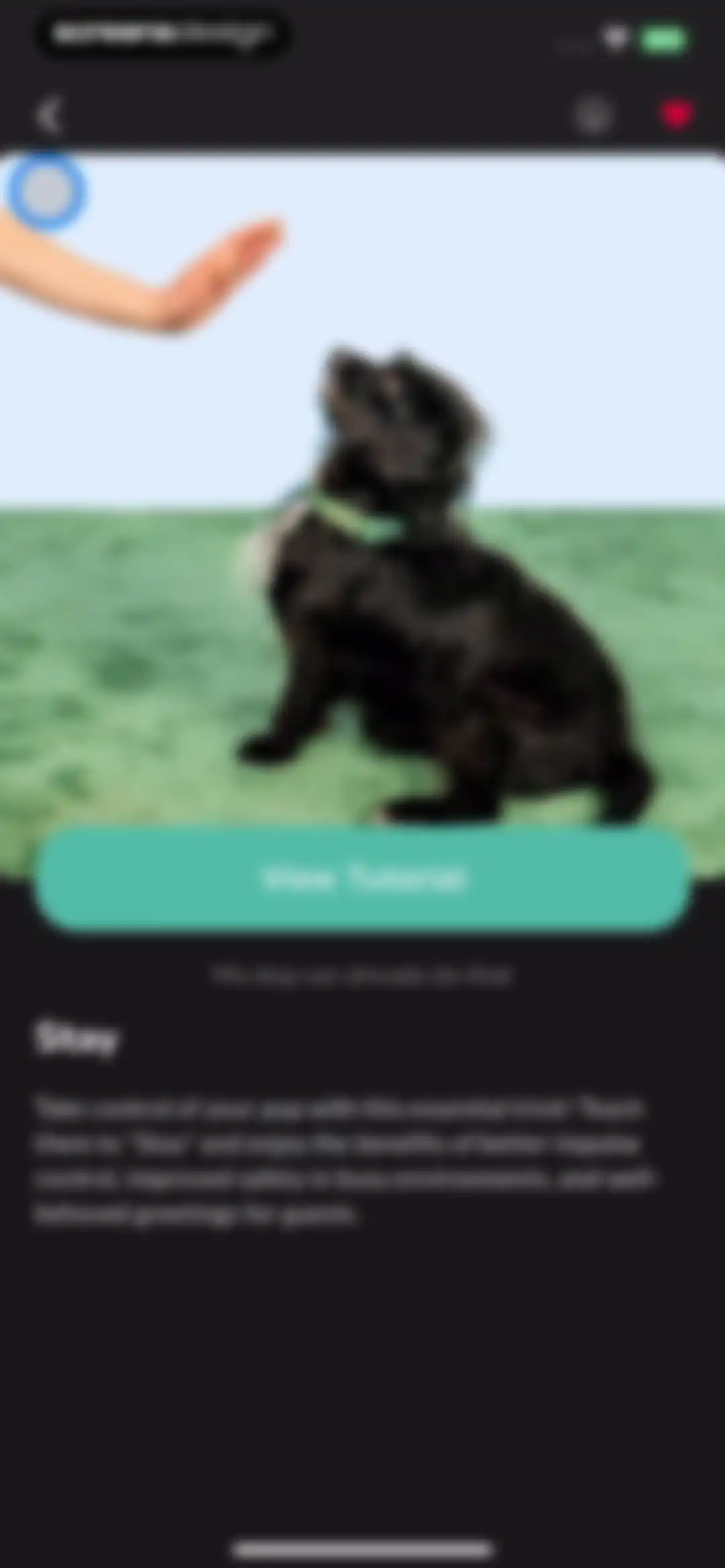Hundeo - Dog Training & Tricks screen 55