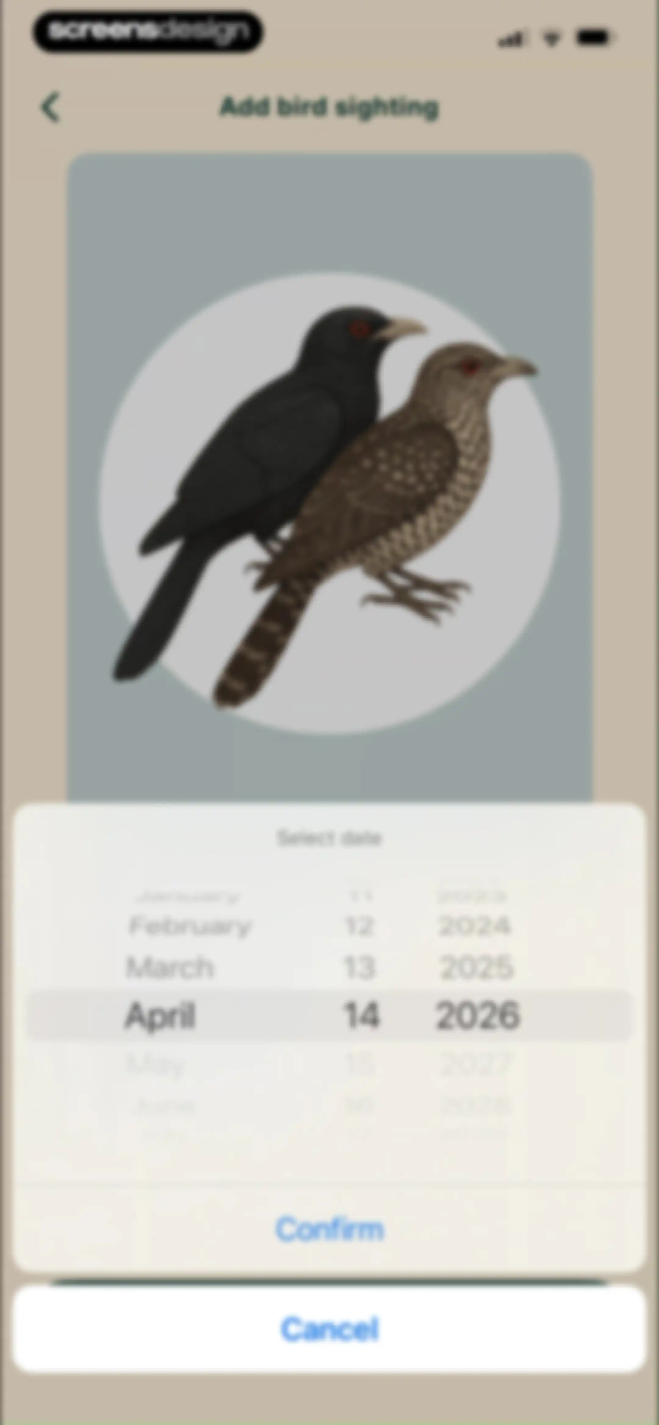 Birdbuddy: ID & Collect Birds screen 42