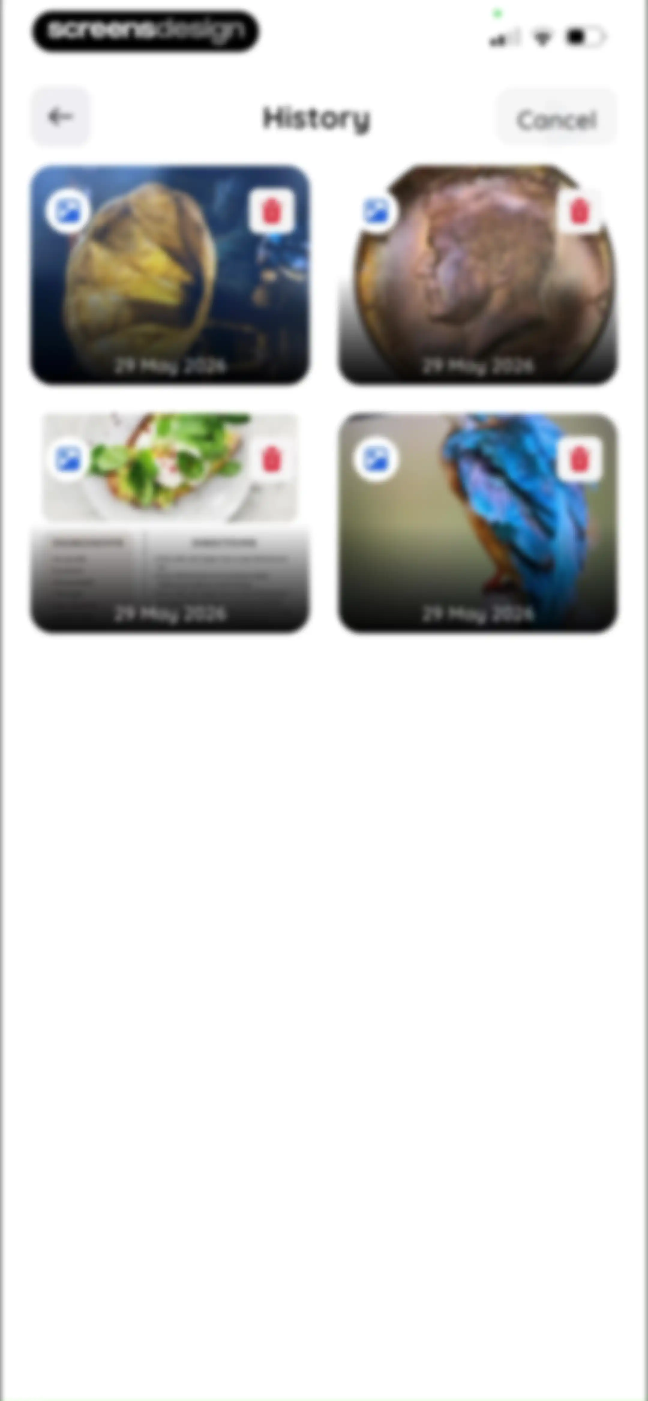 Lens: Translate & Image Search screen 46