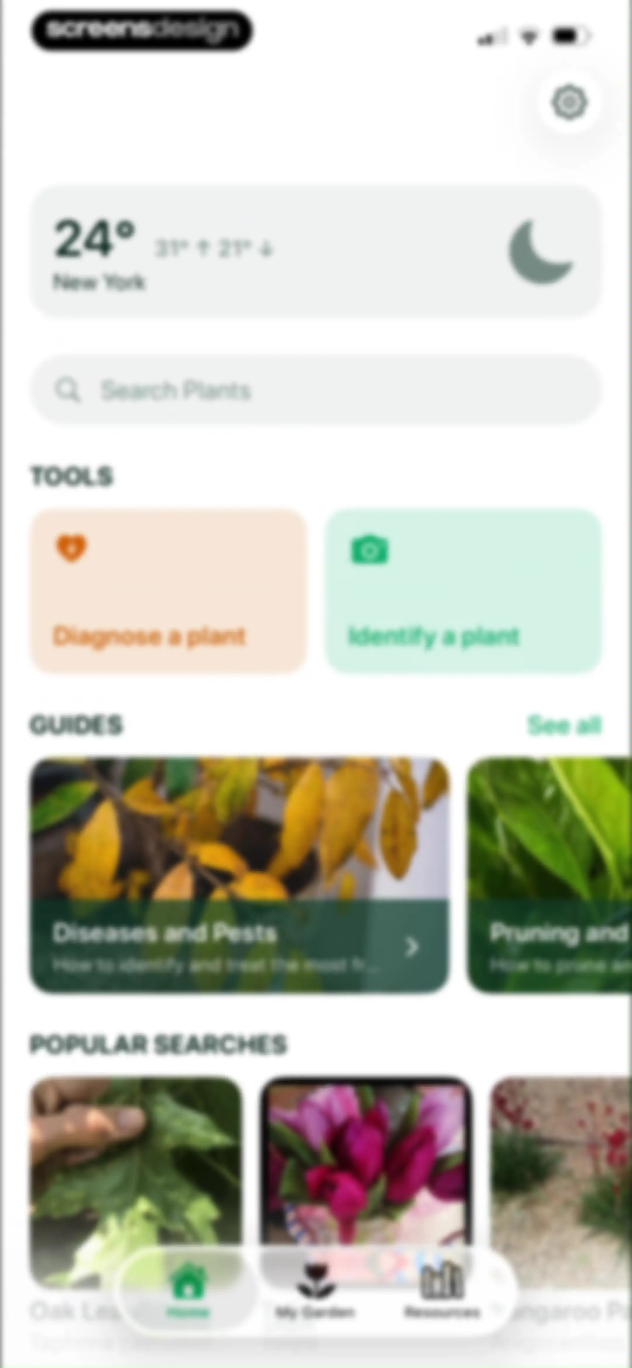 Planto: Plant Identifier screen 11
