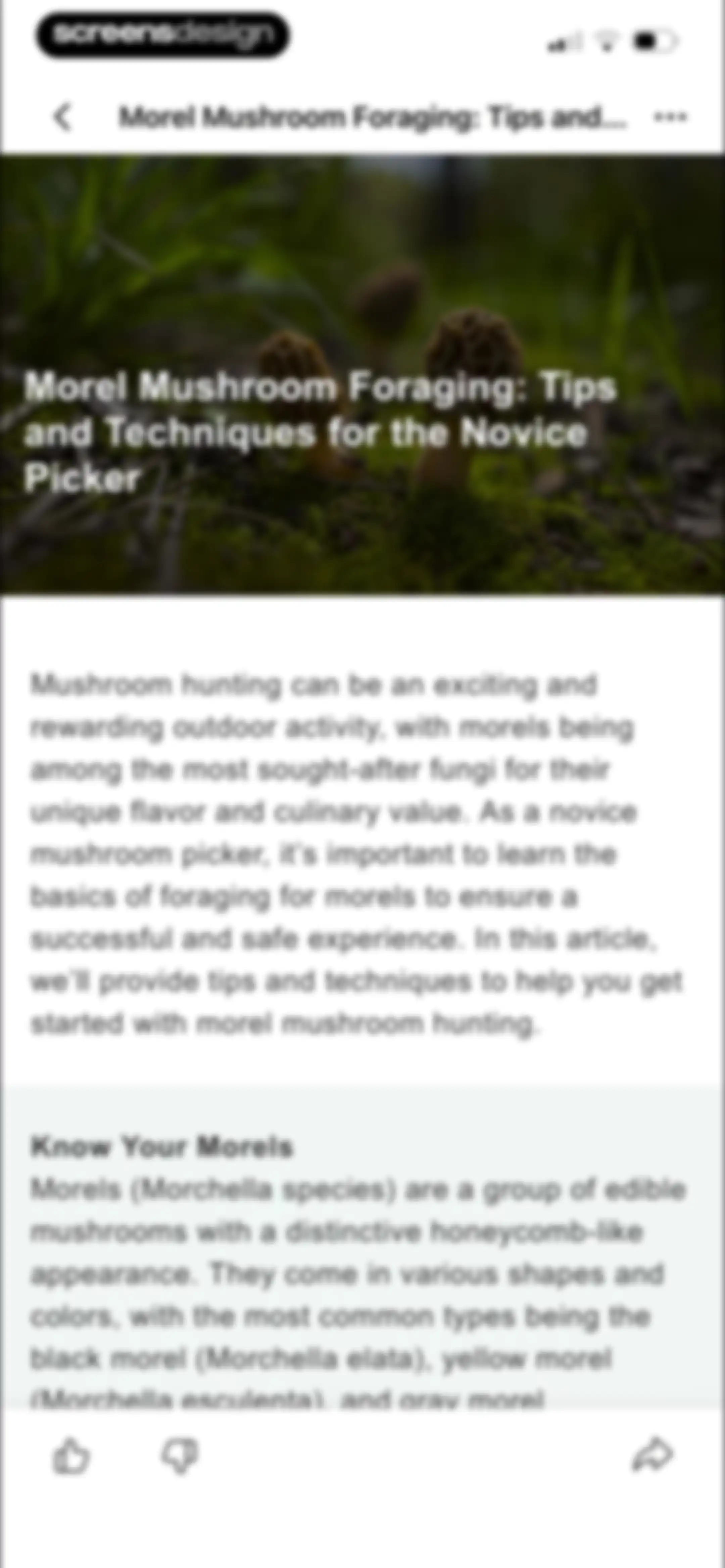 Picture Mushroom: Identifier screen 90