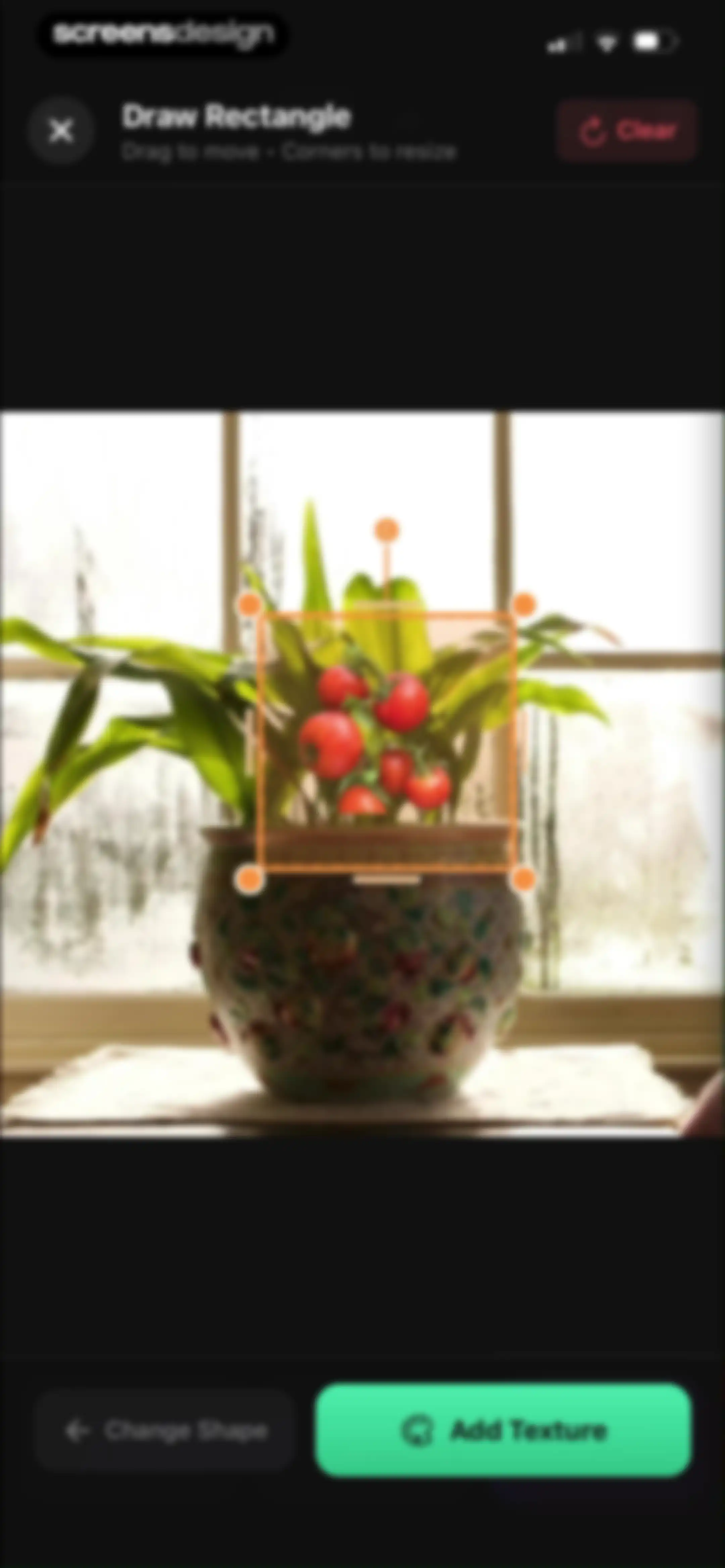 Sow: Garden & Landscape Design screen 163