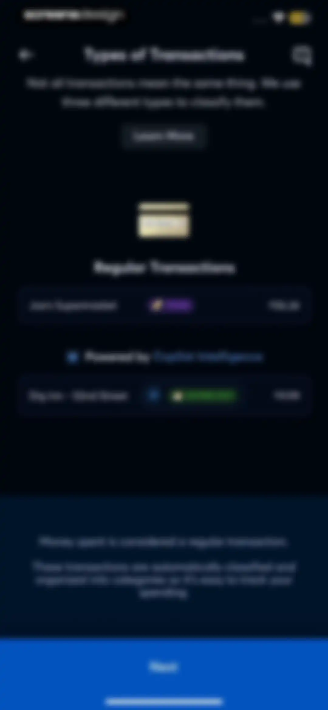 Copilot: Track & Budget Money screen 16
