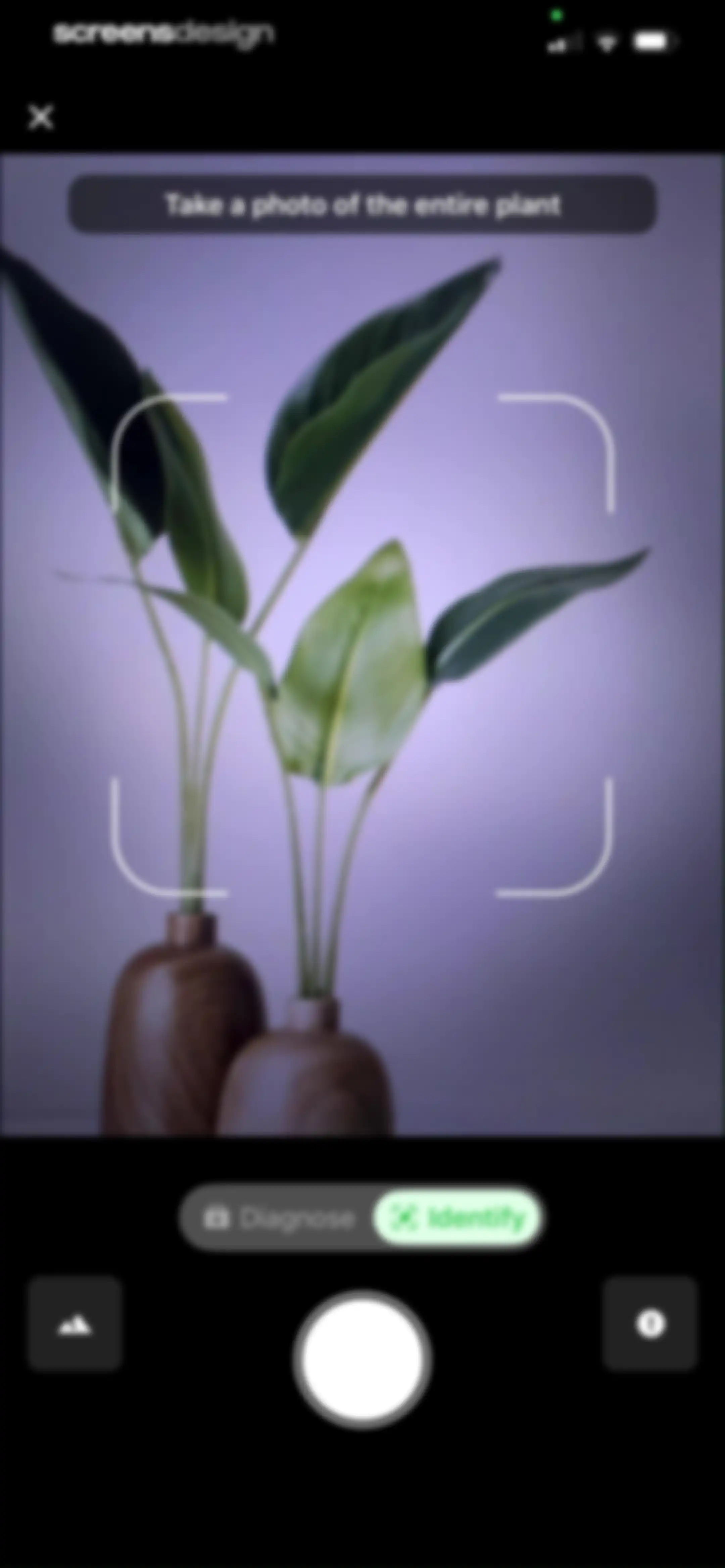 Plant Identifier & Plant Care. screen 29