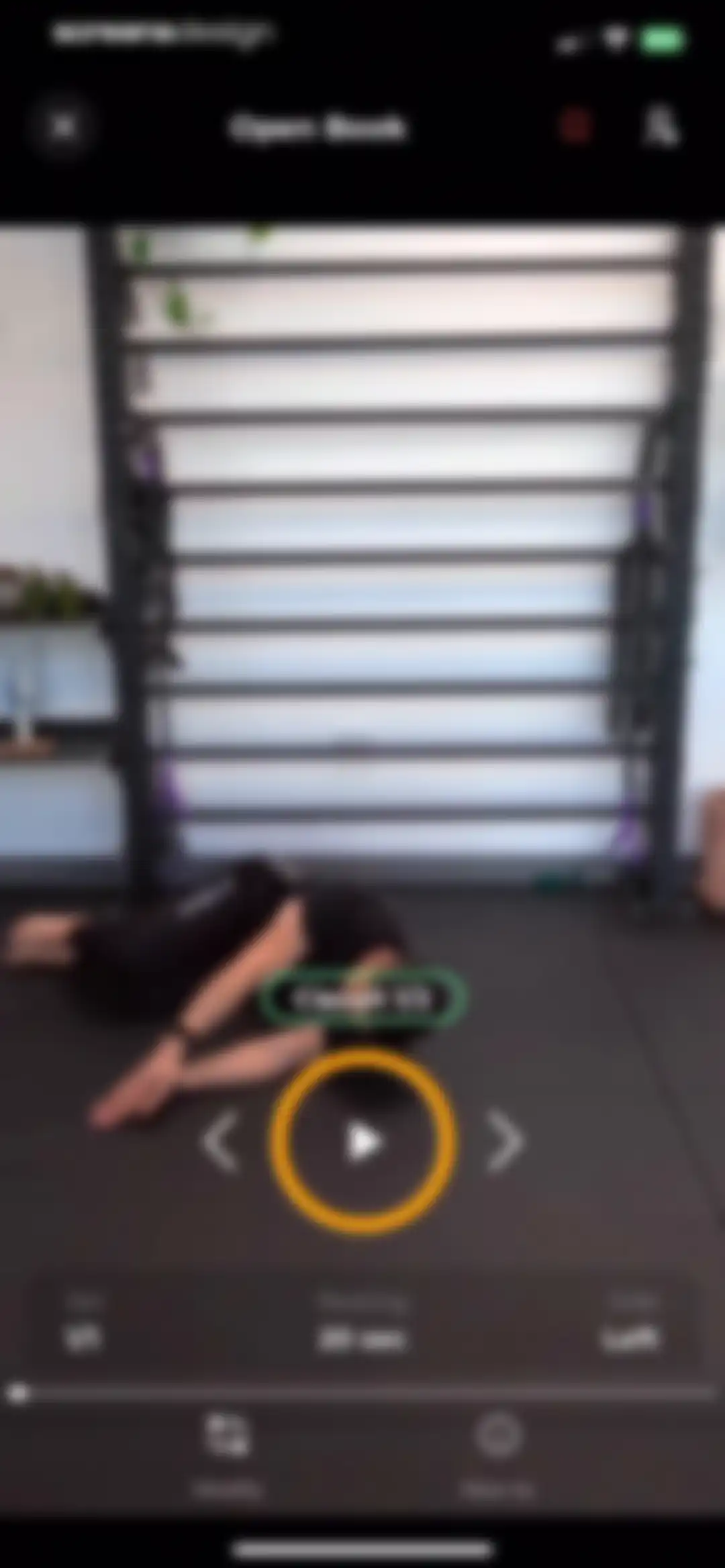 Prehab: Physical Therapy, Pain screen 24