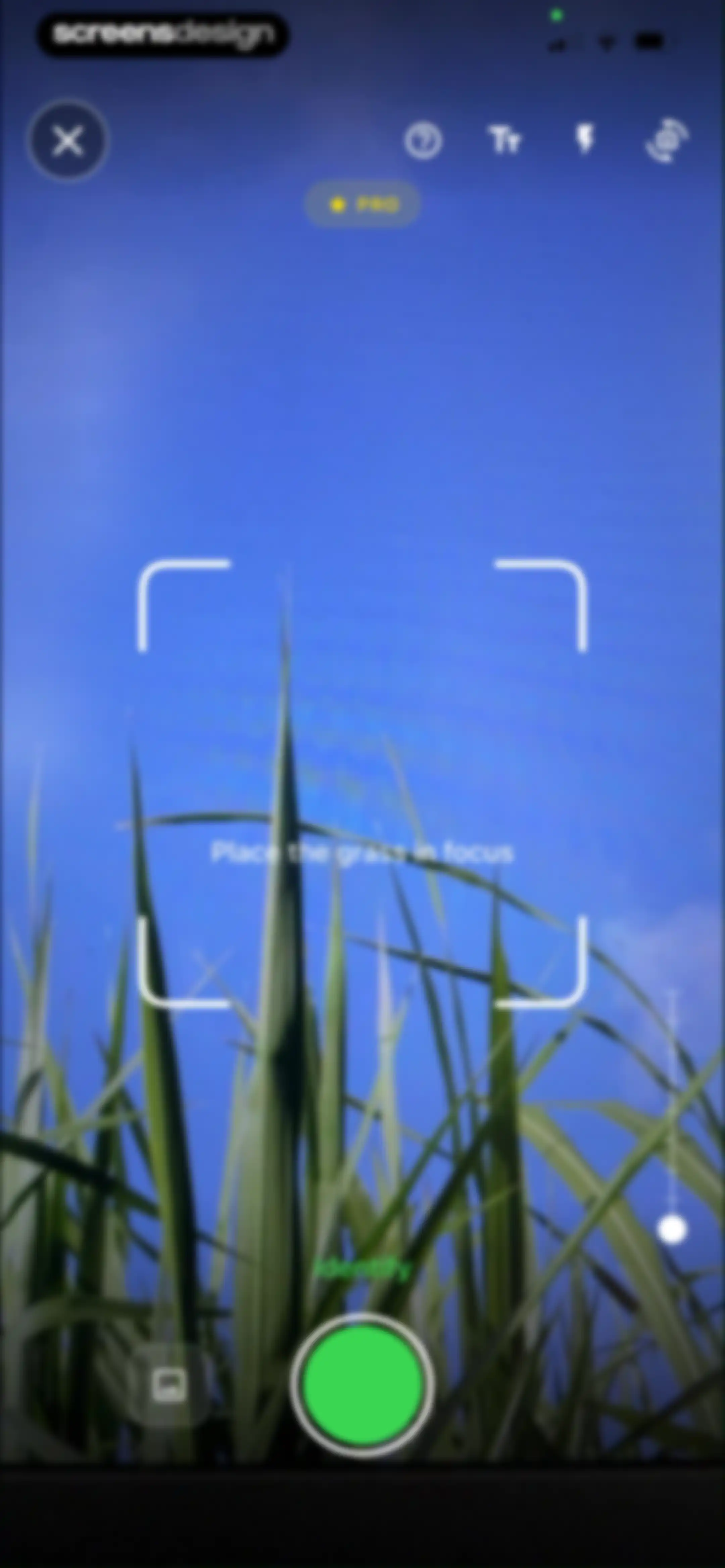 Grass Identifier: AI Scan screen 18
