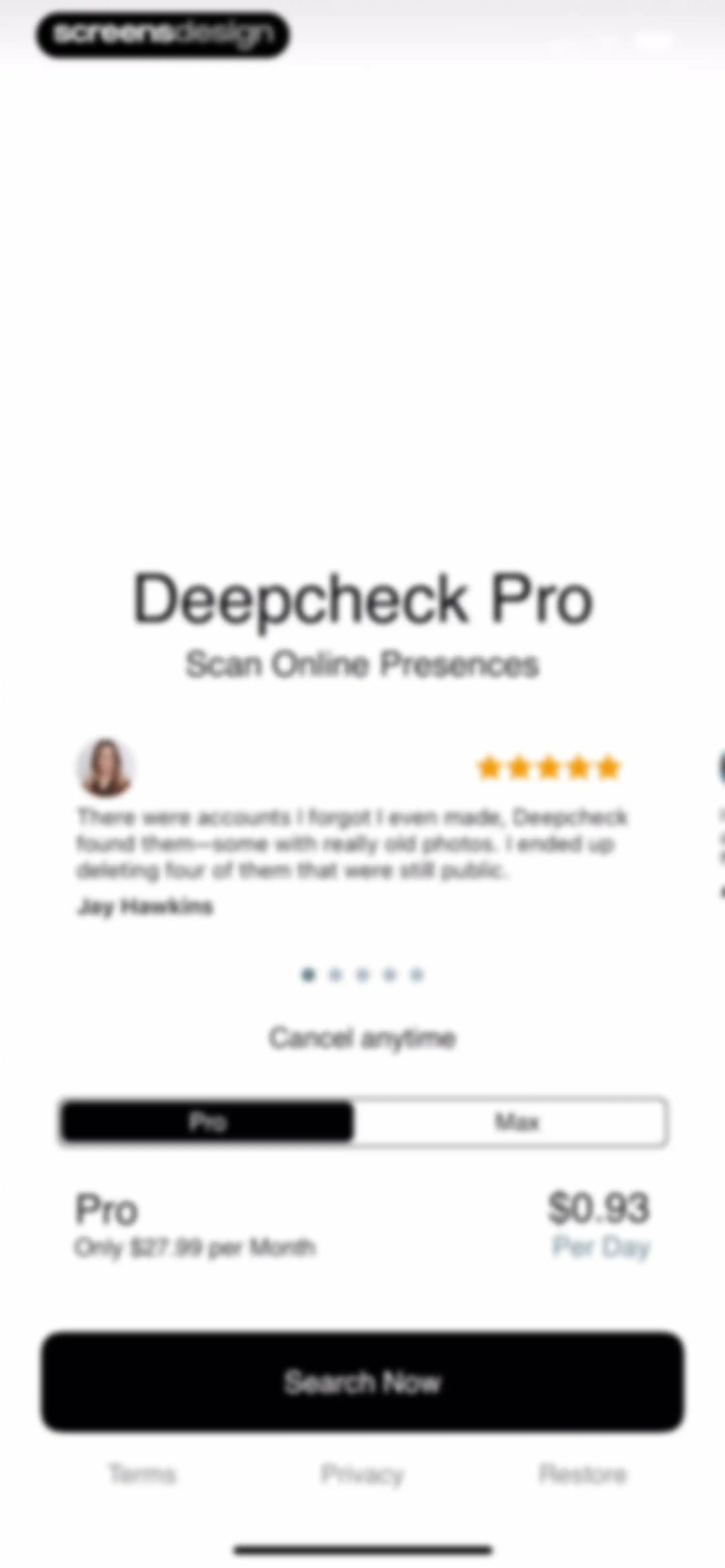 Deepcheck AI Search Agent screen 3