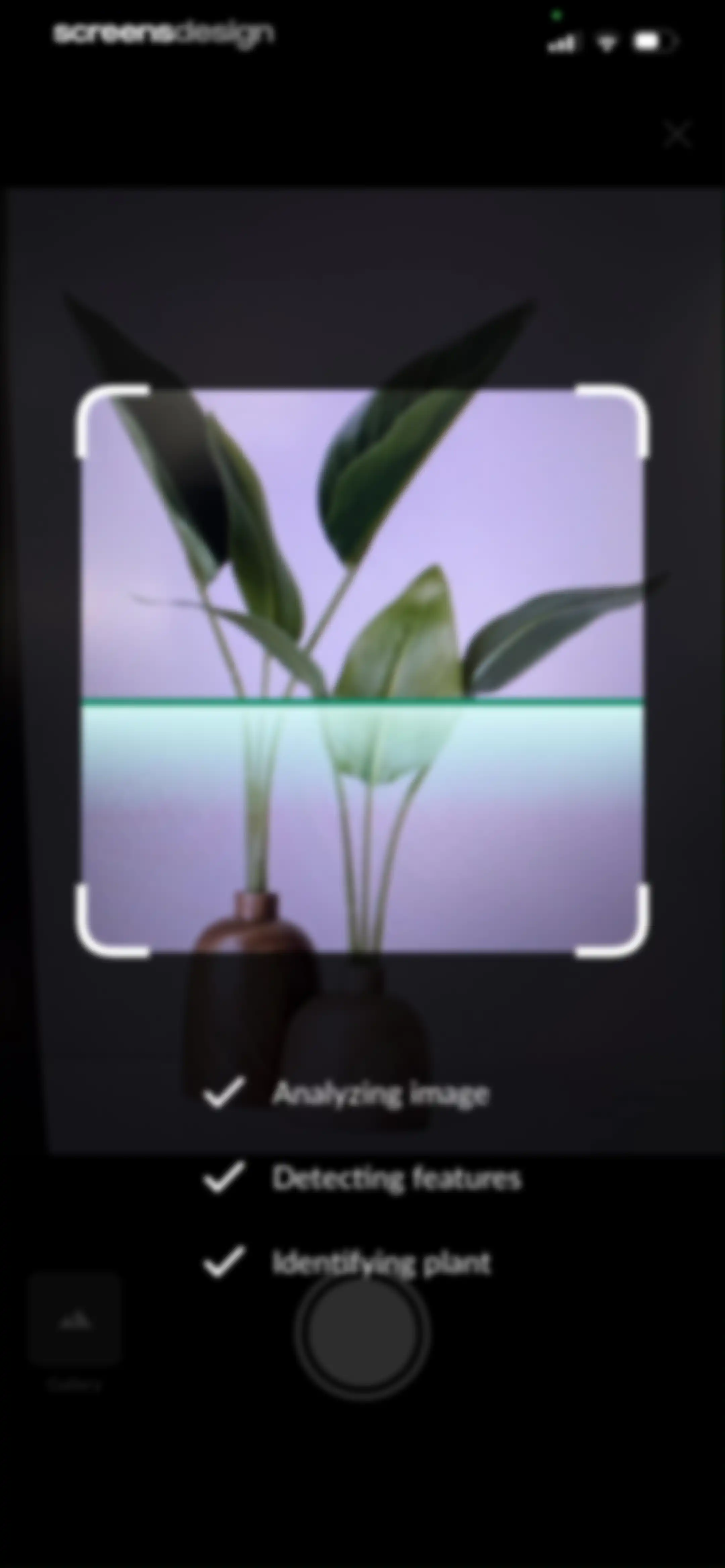 Plant Identification－Plantaria screen 23